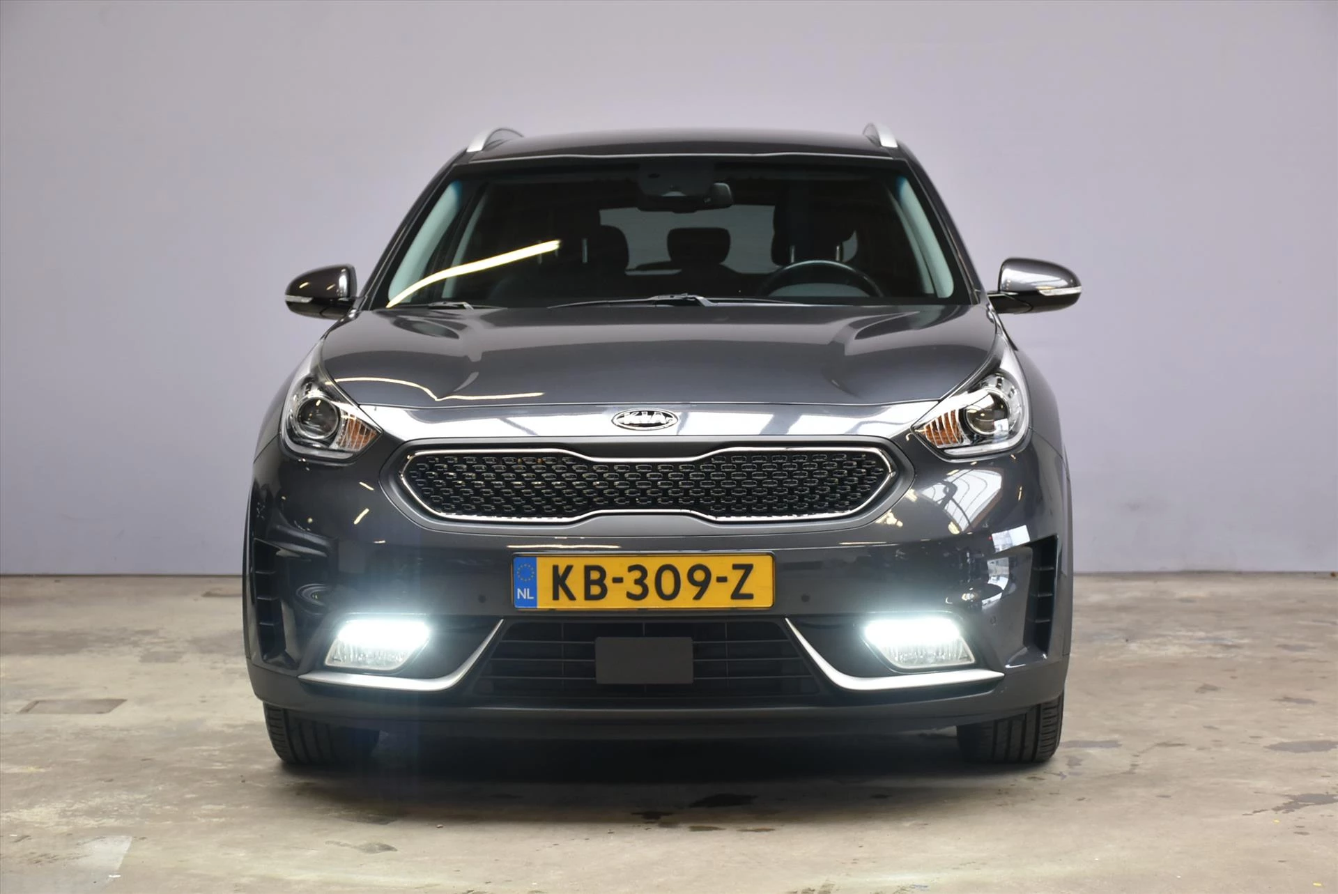 Hoofdafbeelding Kia Niro