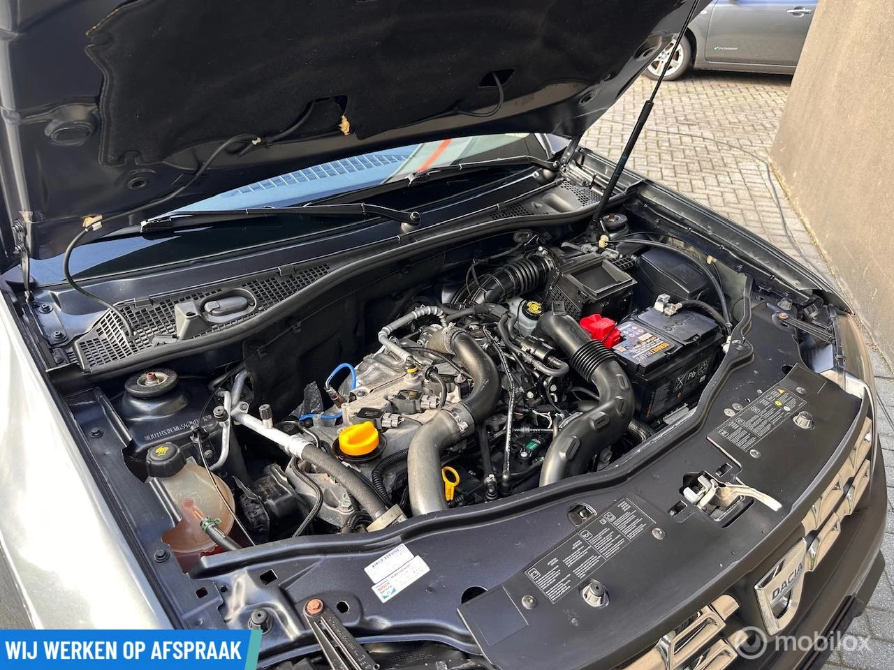 Hoofdafbeelding Dacia Duster