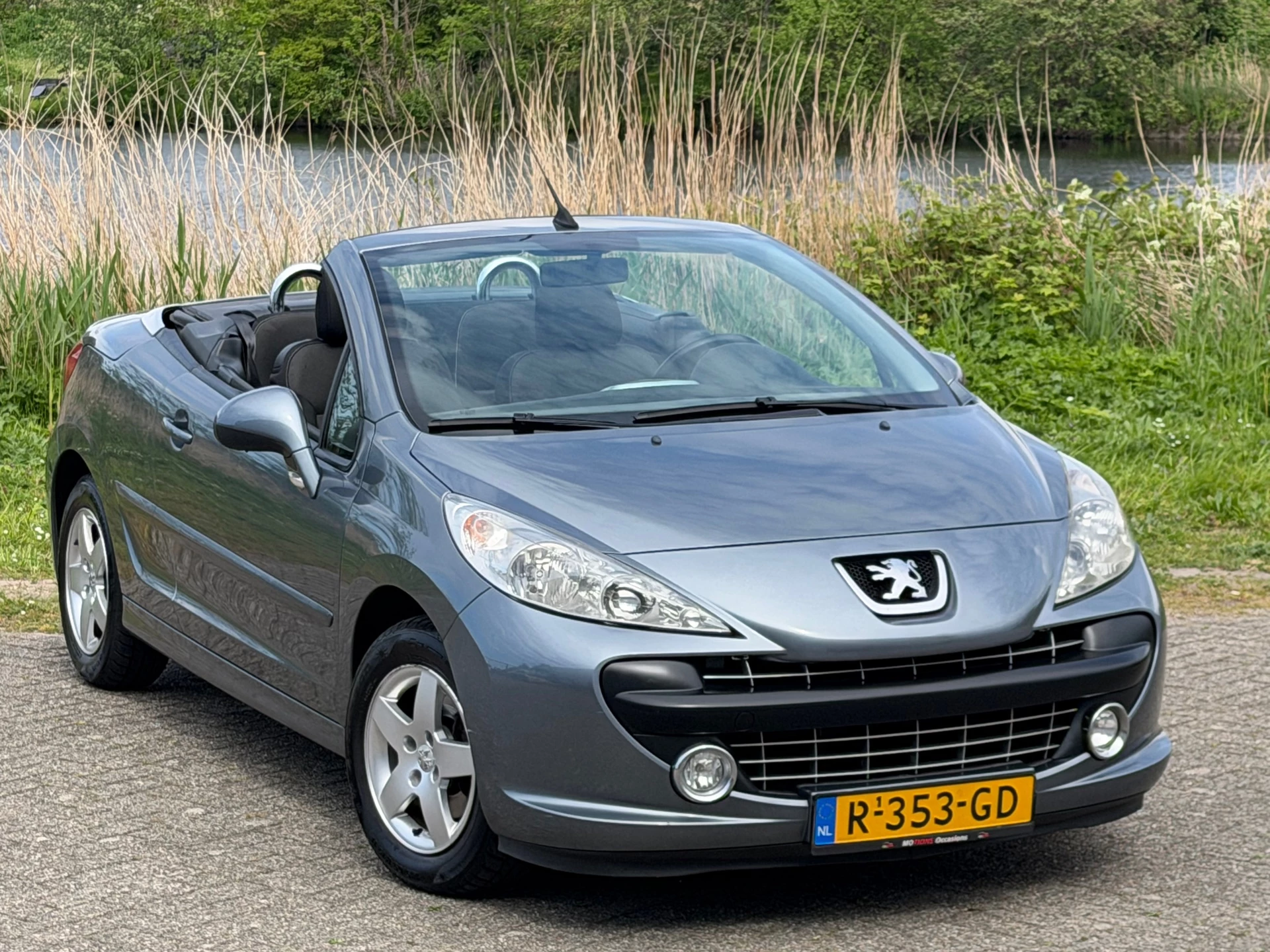 Hoofdafbeelding Peugeot 207