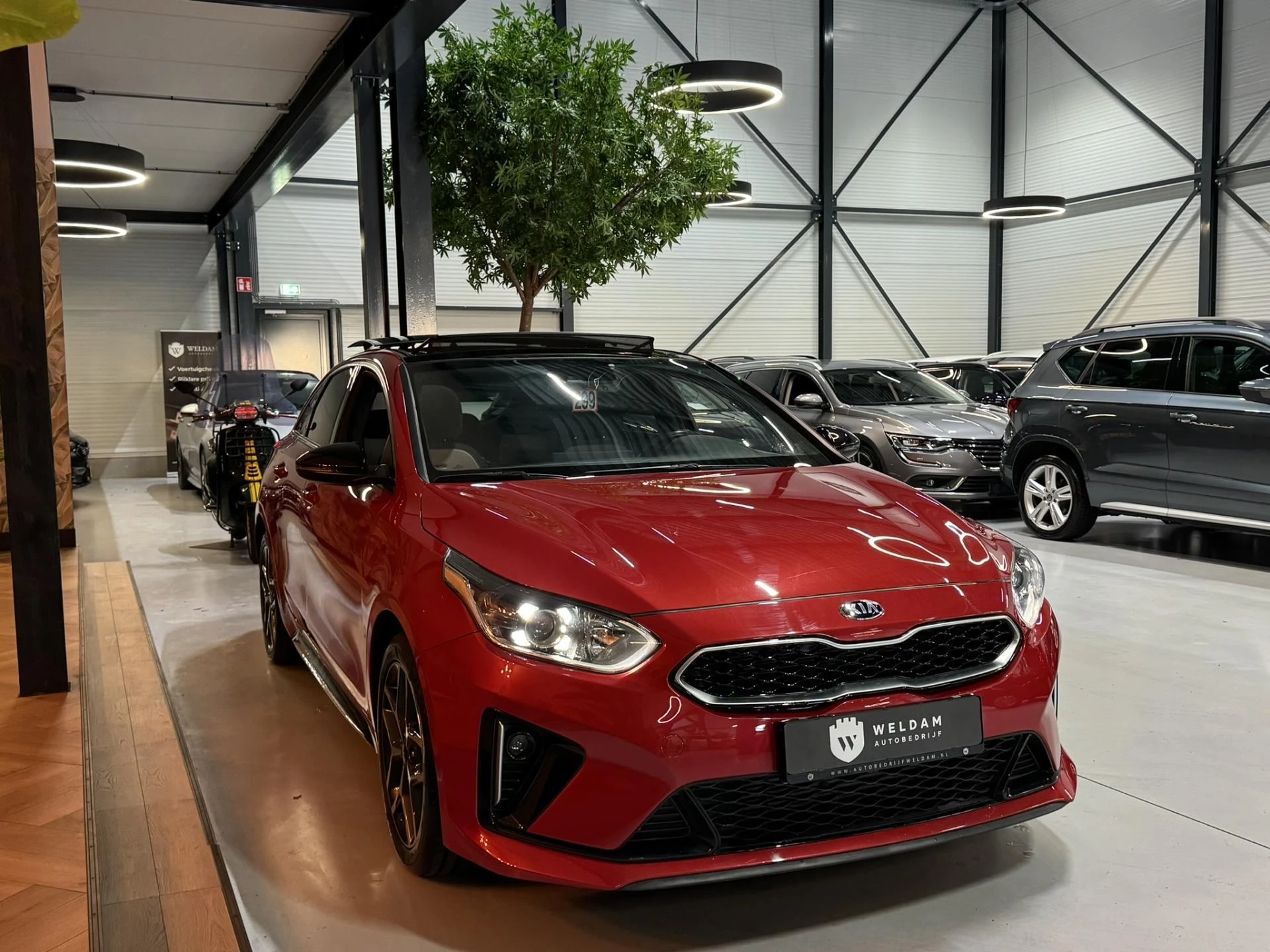 Hoofdafbeelding Kia ProCeed