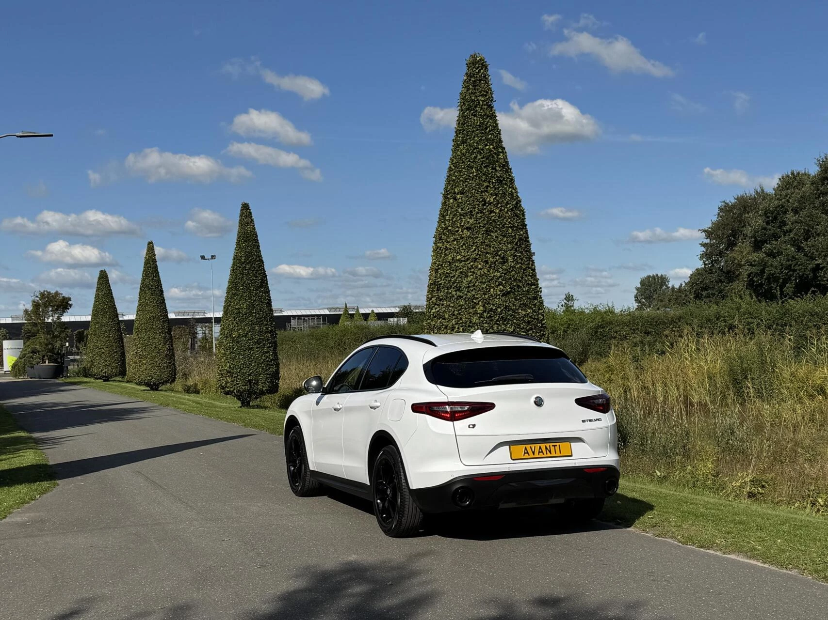 Hoofdafbeelding Alfa Romeo Stelvio