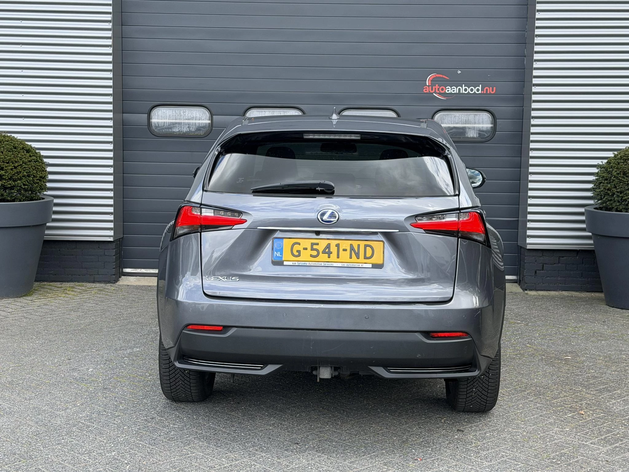 Hoofdafbeelding Lexus NX