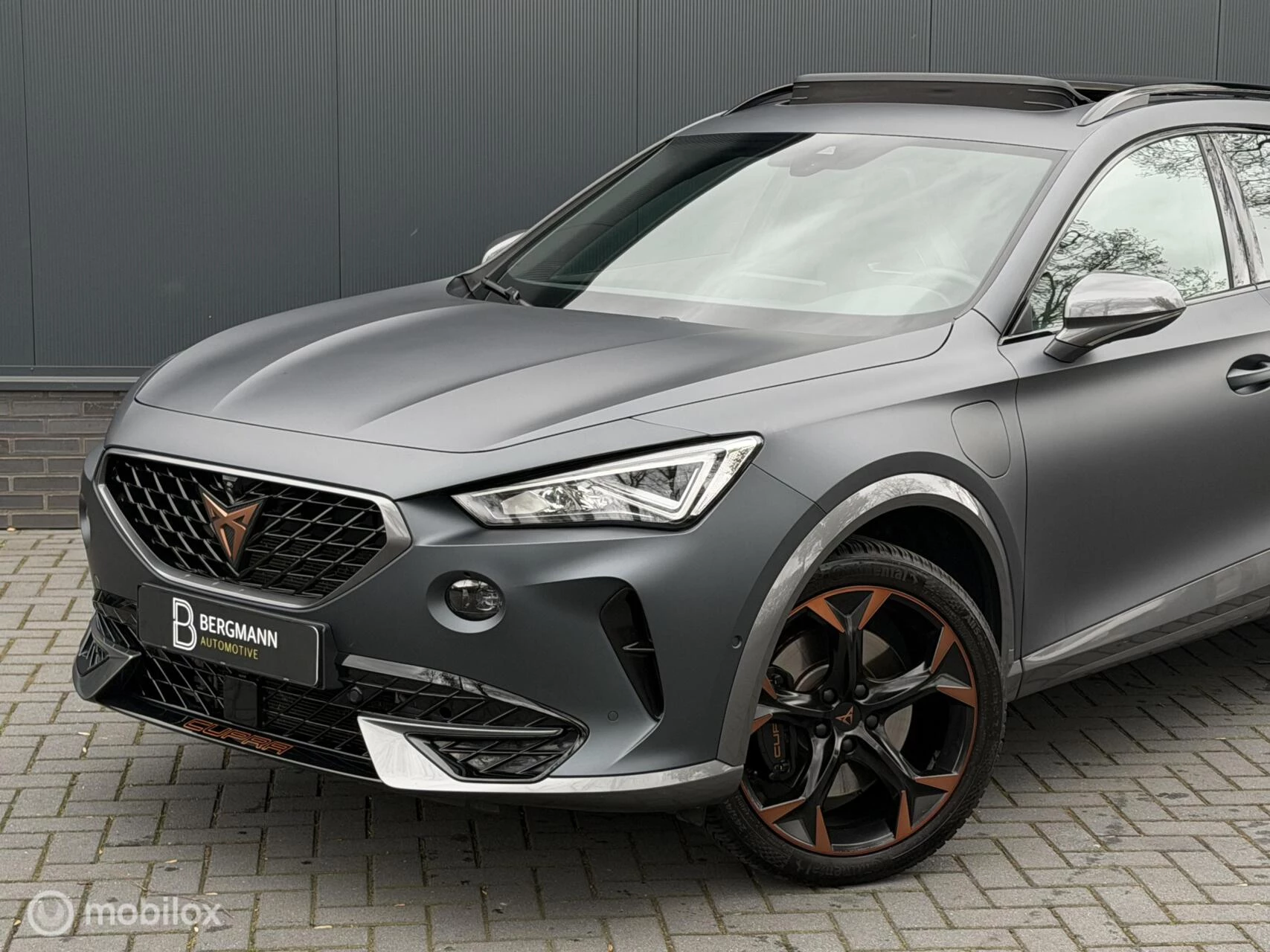 Hoofdafbeelding CUPRA Formentor