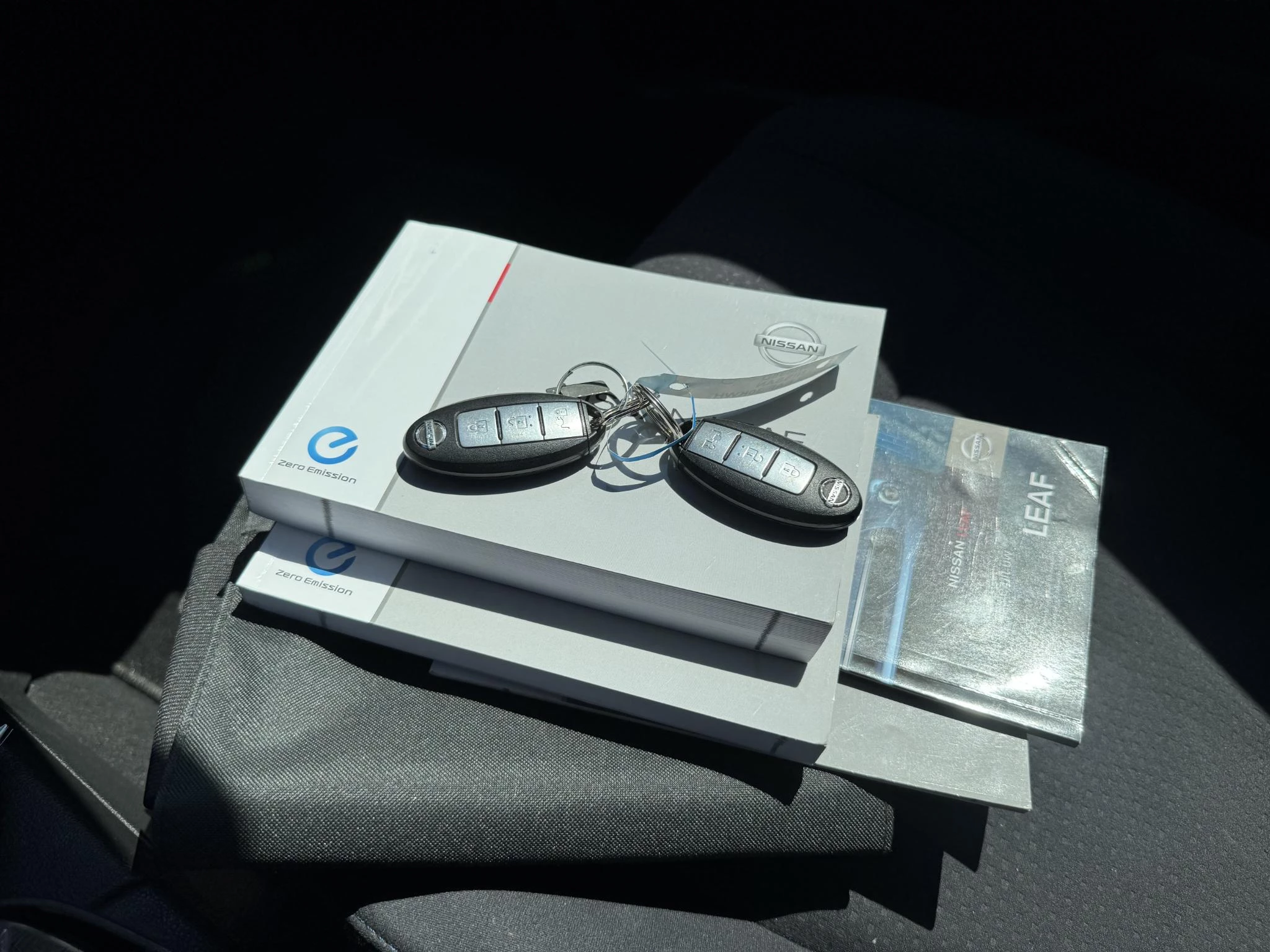 Hoofdafbeelding Nissan Leaf