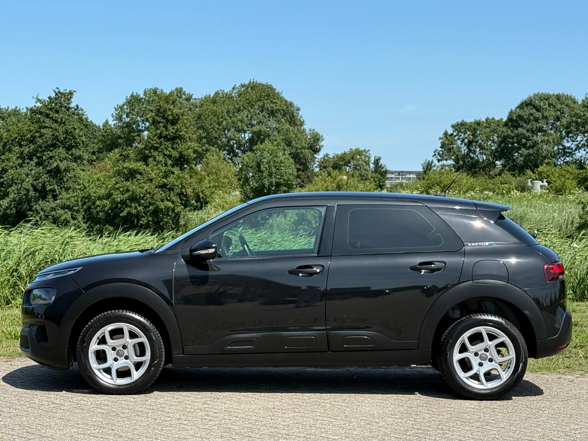 Hoofdafbeelding Citroën C4 Cactus