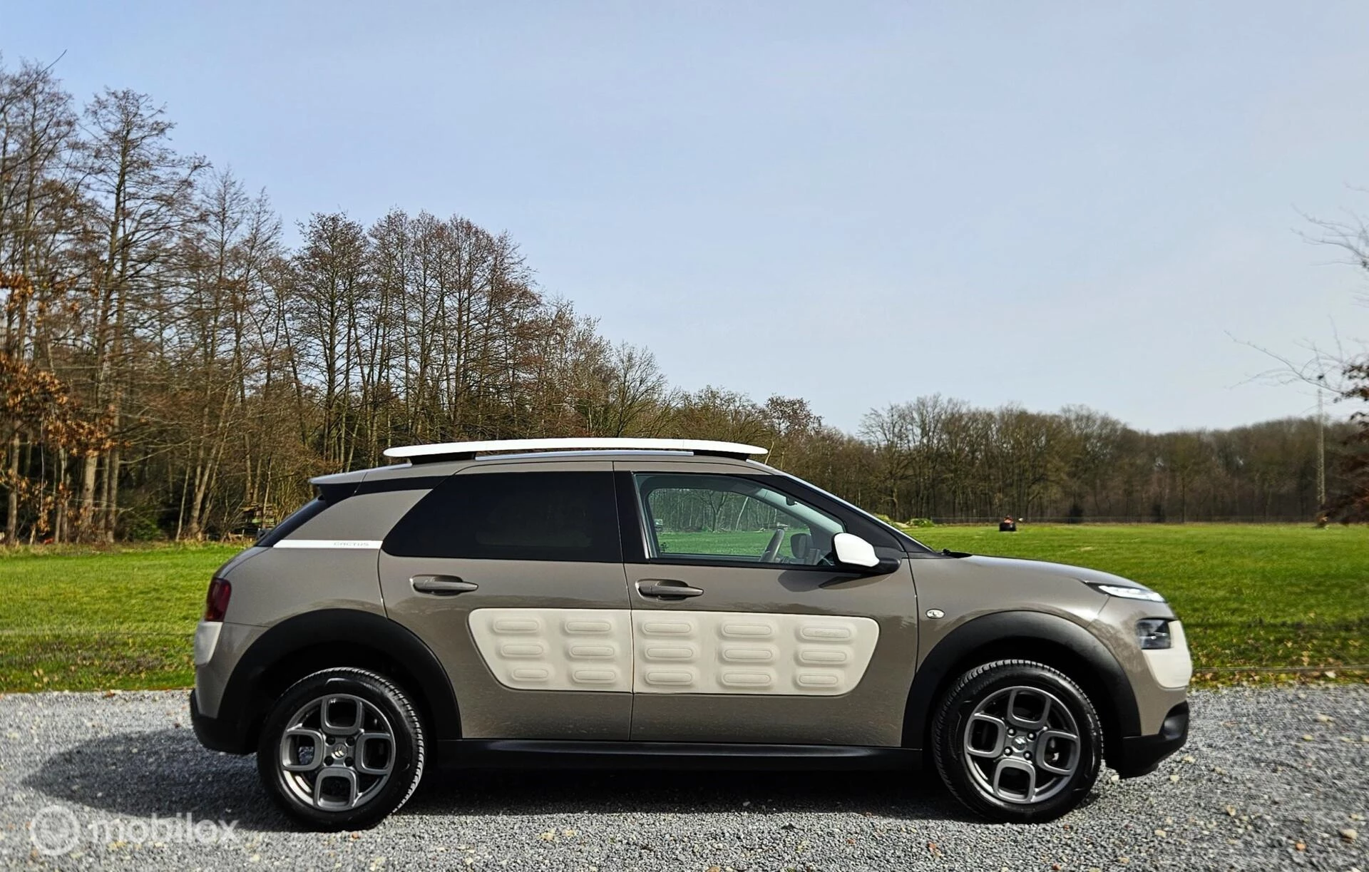 Hoofdafbeelding Citroën C4 Cactus