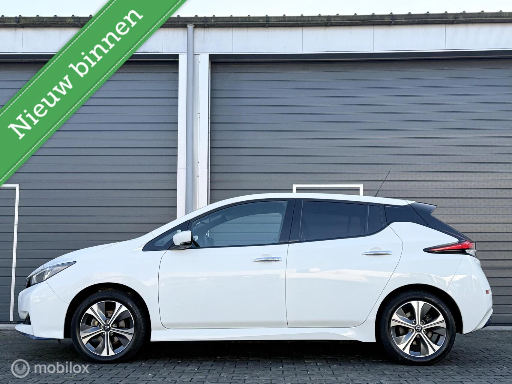 Hoofdafbeelding Nissan Leaf