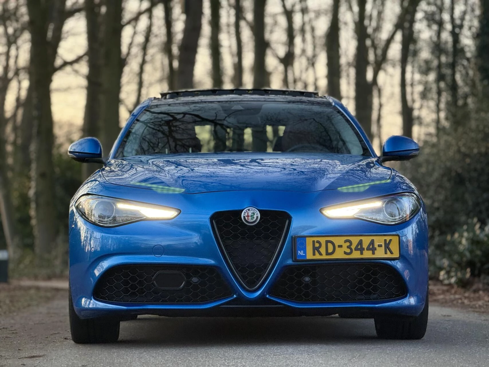 Hoofdafbeelding Alfa Romeo Giulia