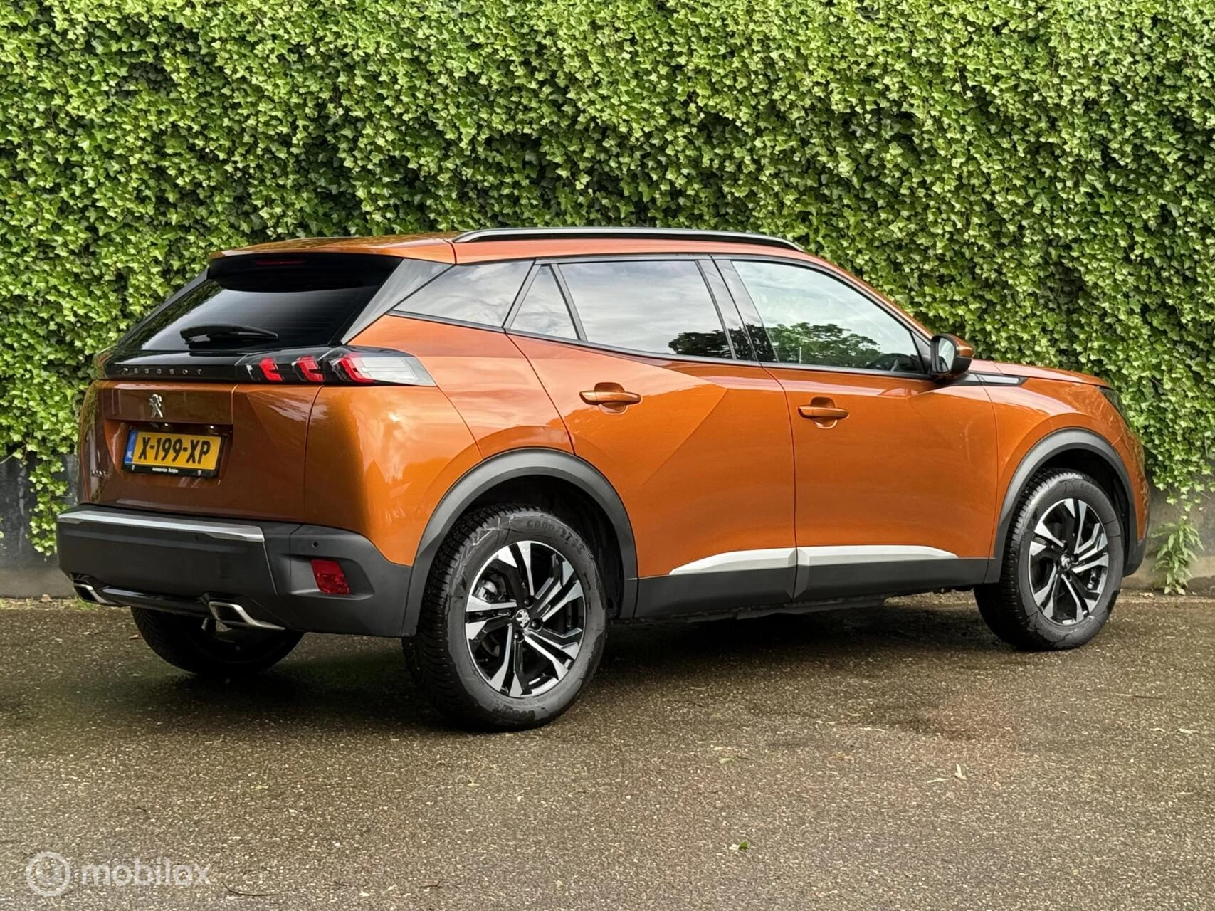 Hoofdafbeelding Peugeot 2008