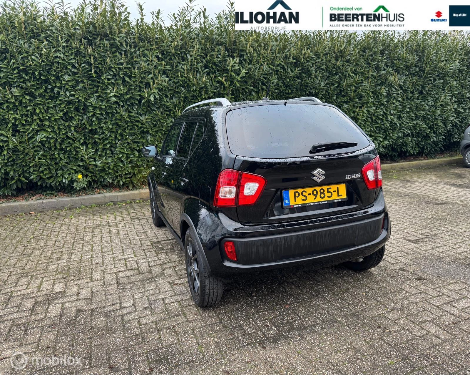 Hoofdafbeelding Suzuki Ignis