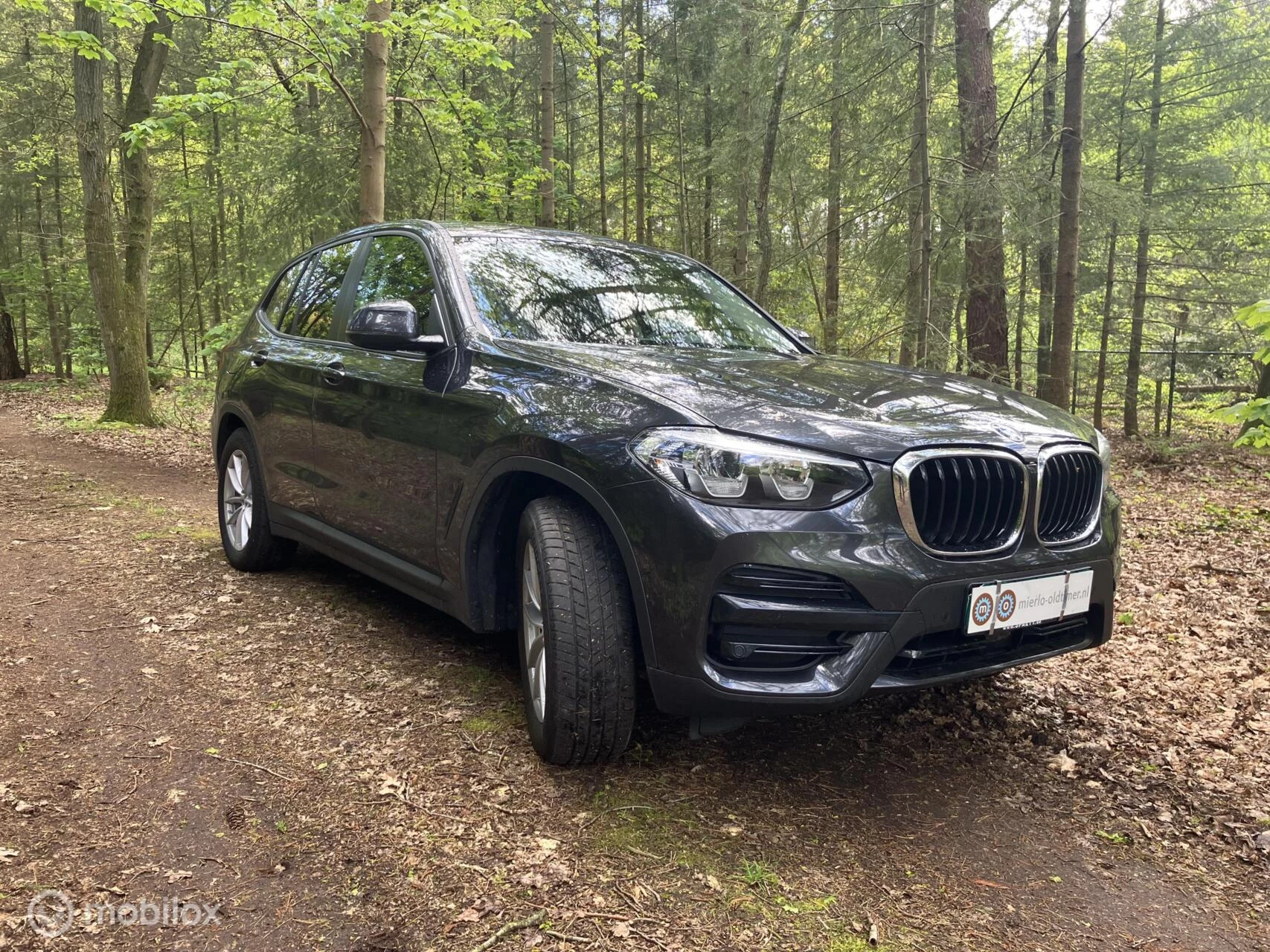 Hoofdafbeelding BMW X3