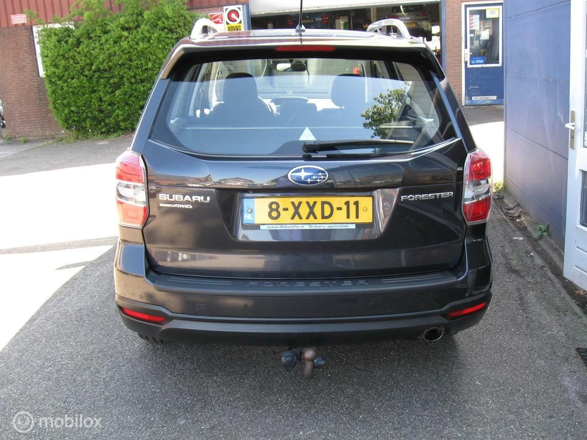 Hoofdafbeelding Subaru Forester