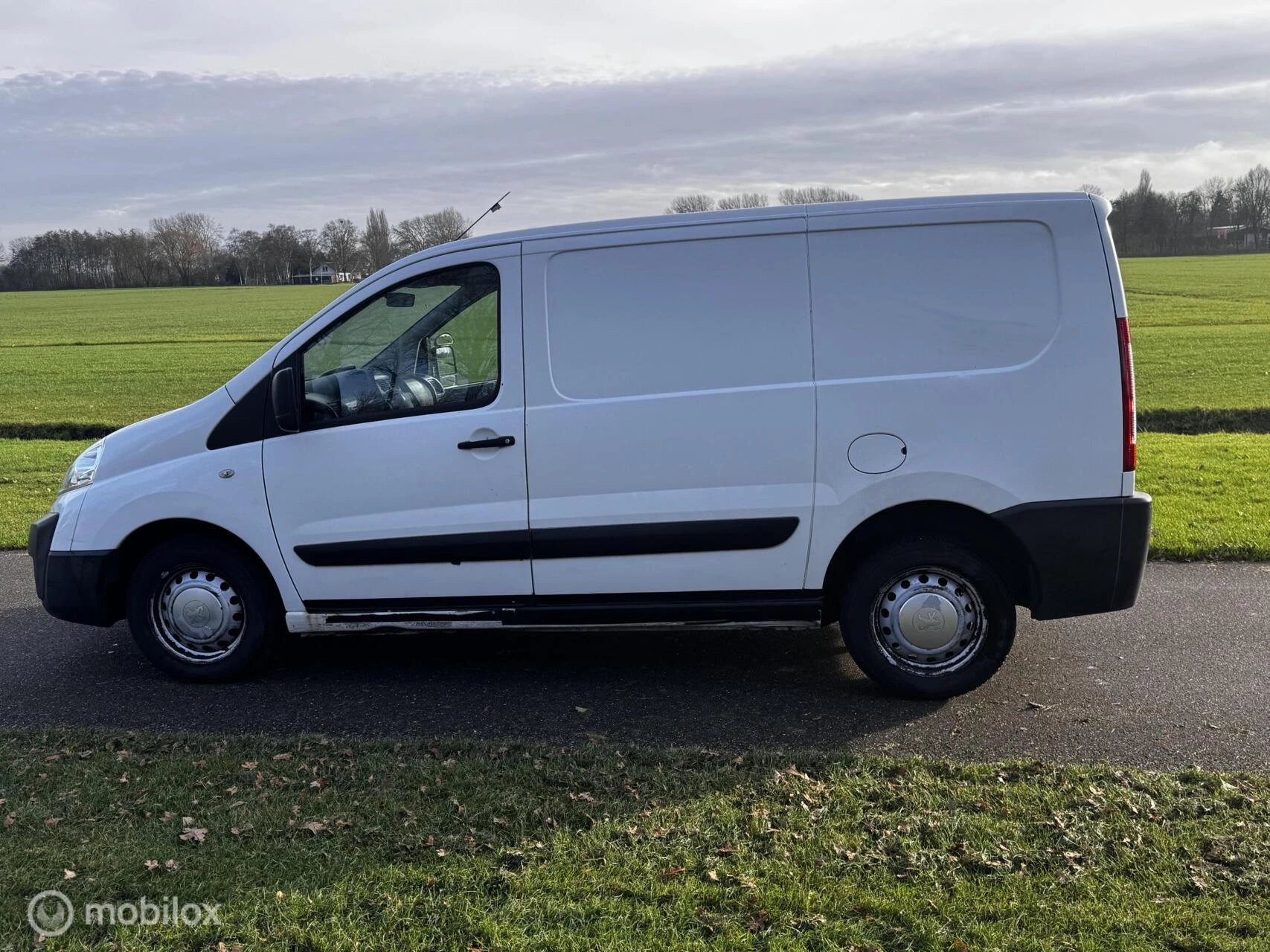 Hoofdafbeelding Peugeot Expert