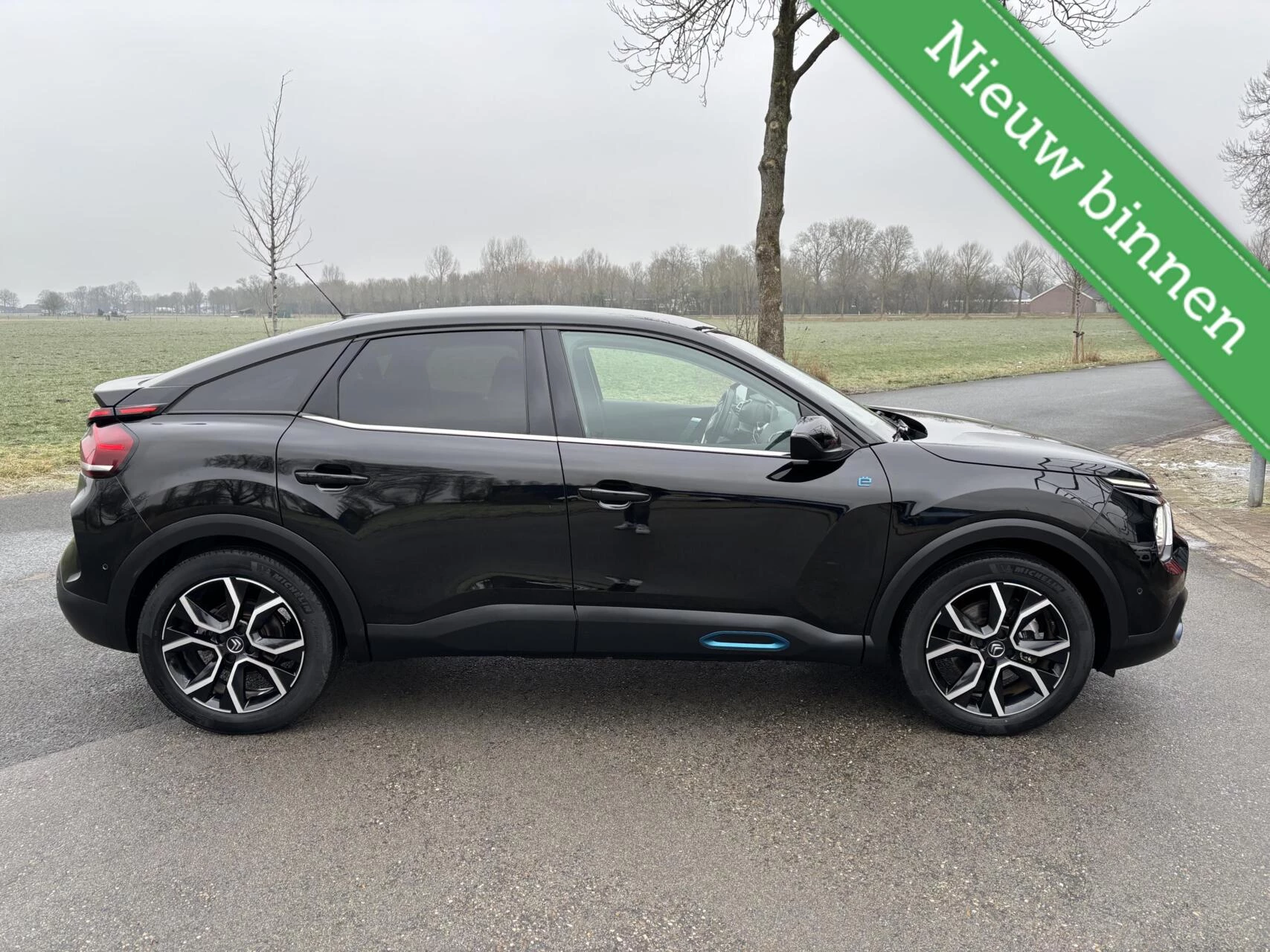 Hoofdafbeelding Citroën ë-C4