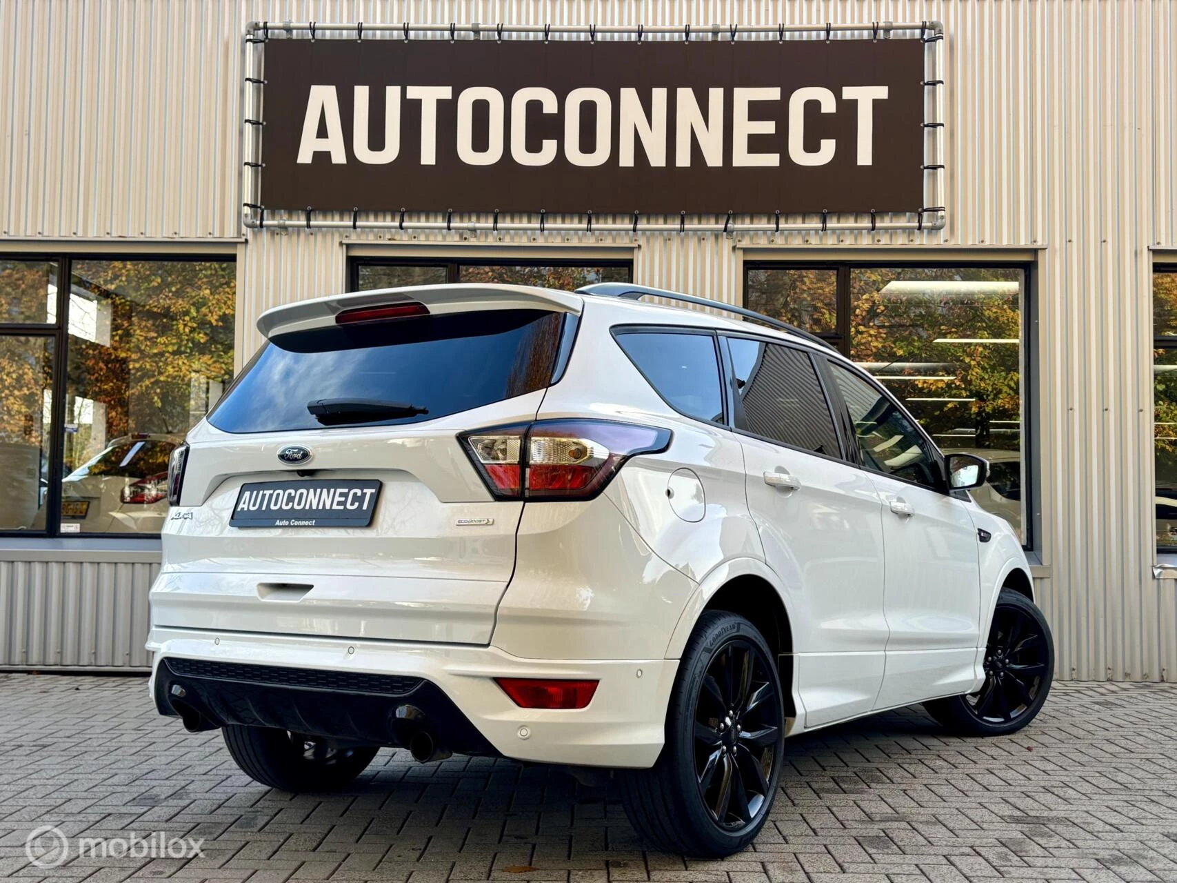Hoofdafbeelding Ford Kuga