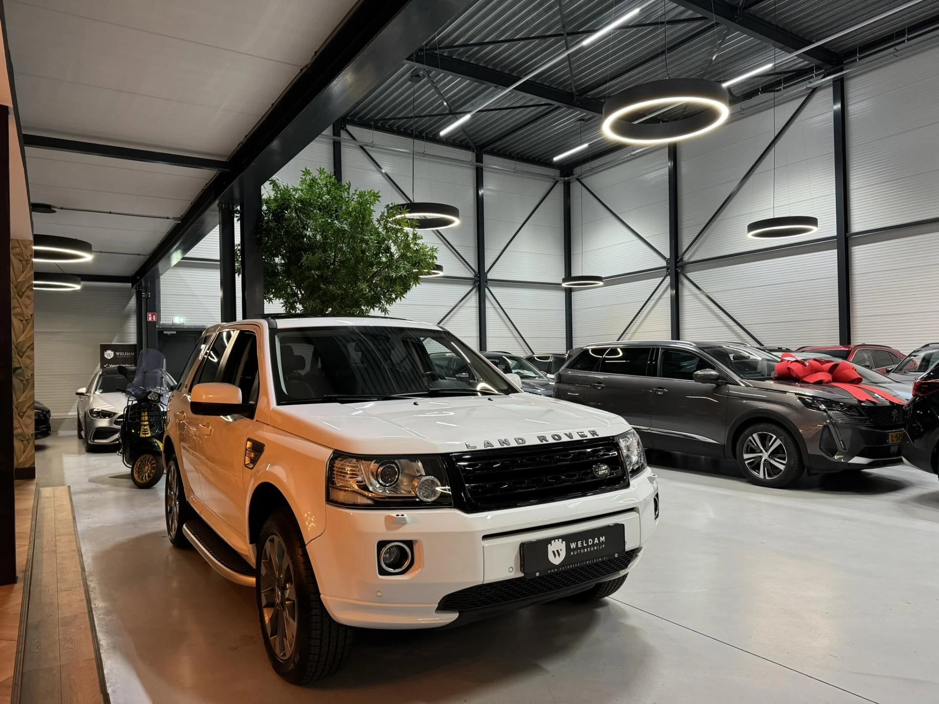 Hoofdafbeelding Land Rover Freelander