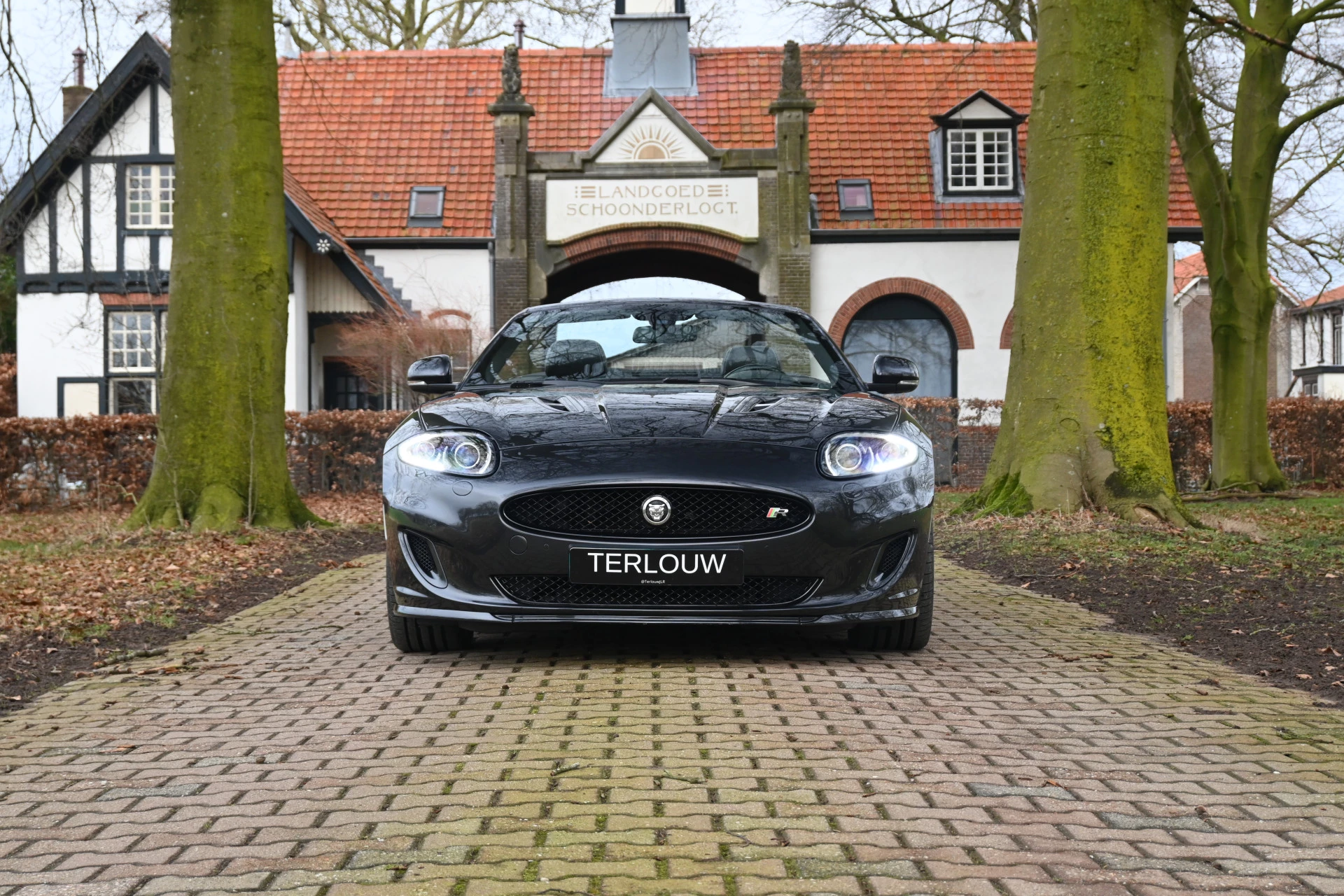 Hoofdafbeelding Jaguar XK