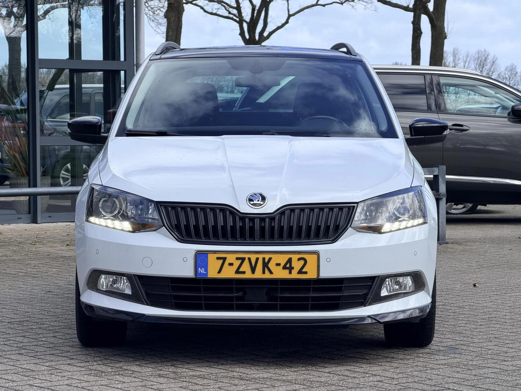 Hoofdafbeelding Škoda Fabia