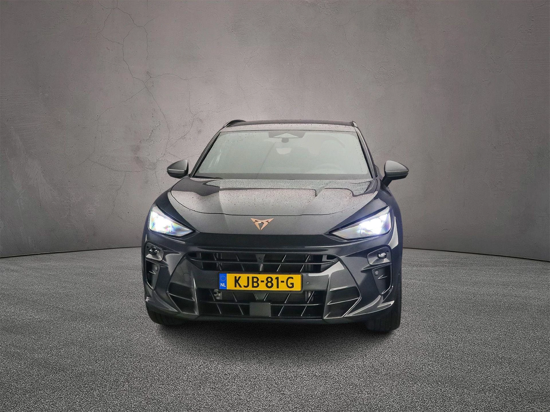 Hoofdafbeelding CUPRA Terramar