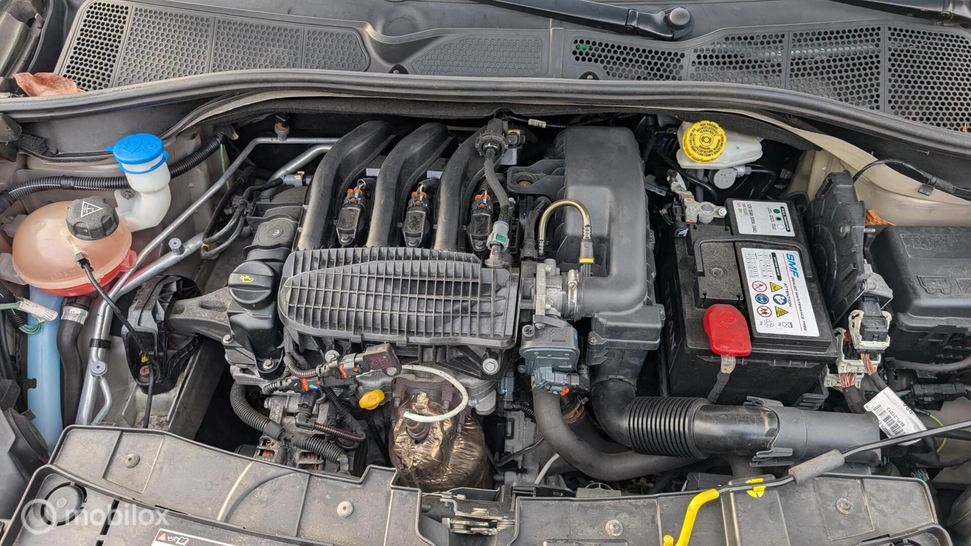 Hoofdafbeelding Citroën C4 Cactus