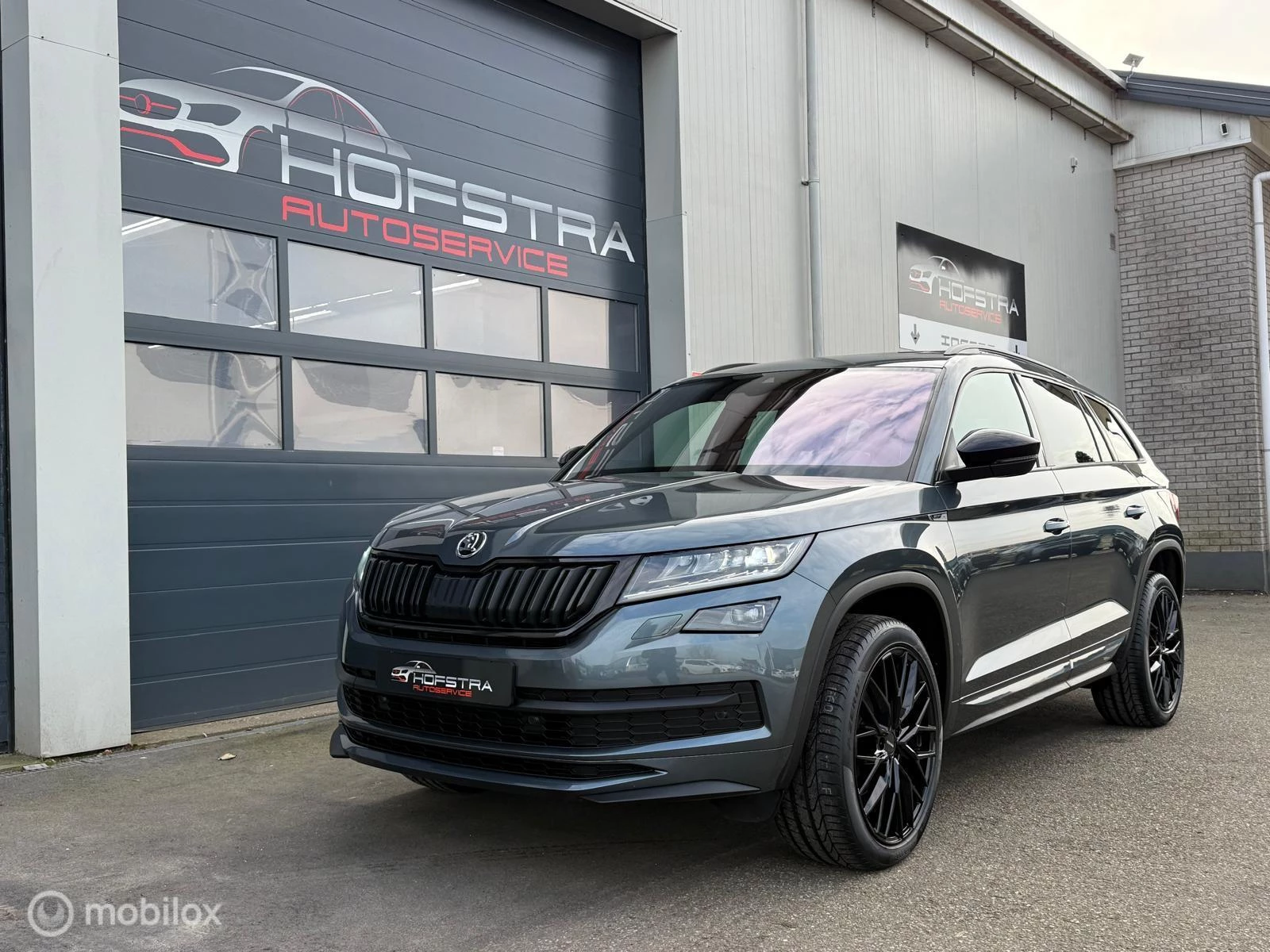 Hoofdafbeelding Škoda Kodiaq