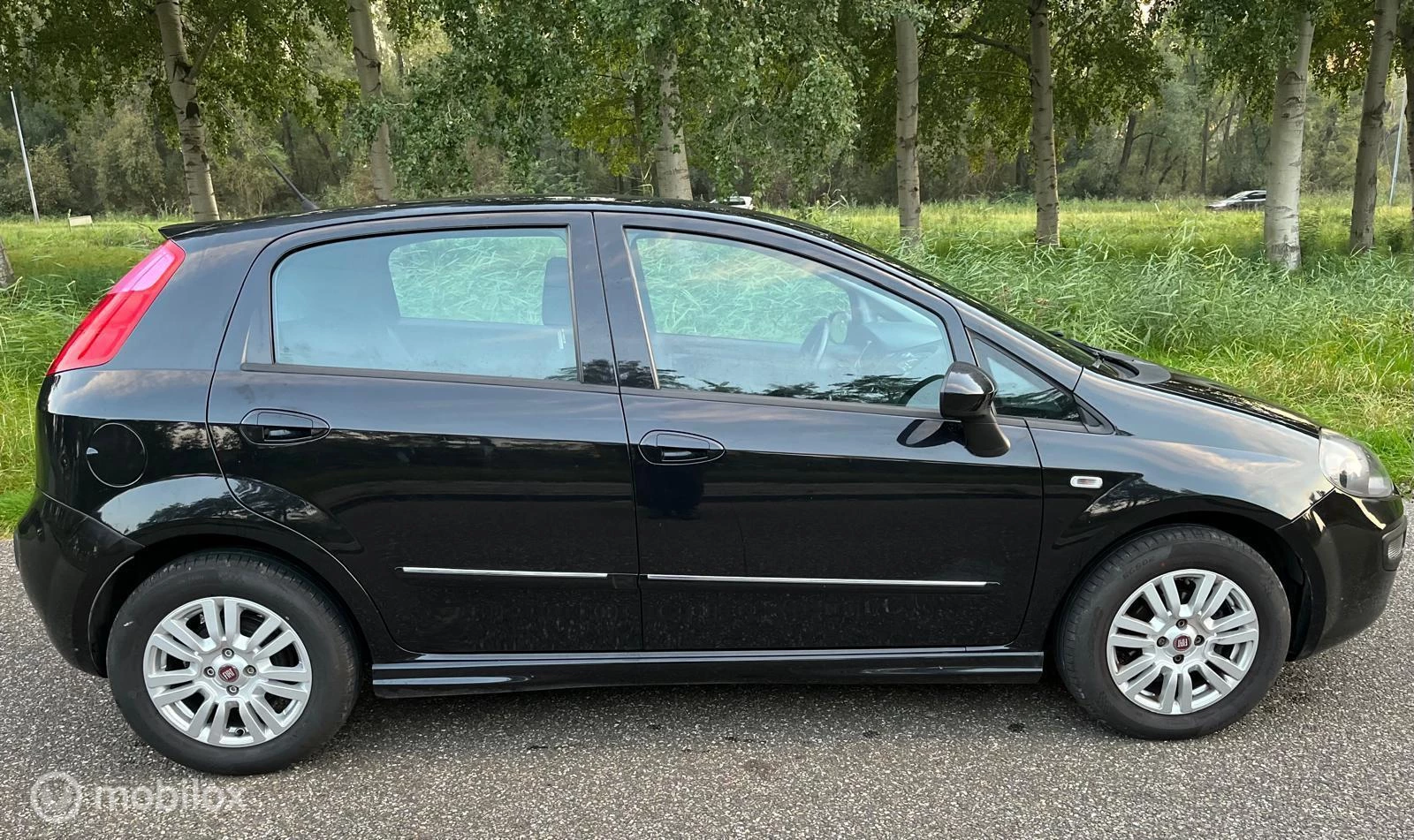 Hoofdafbeelding Fiat Punto