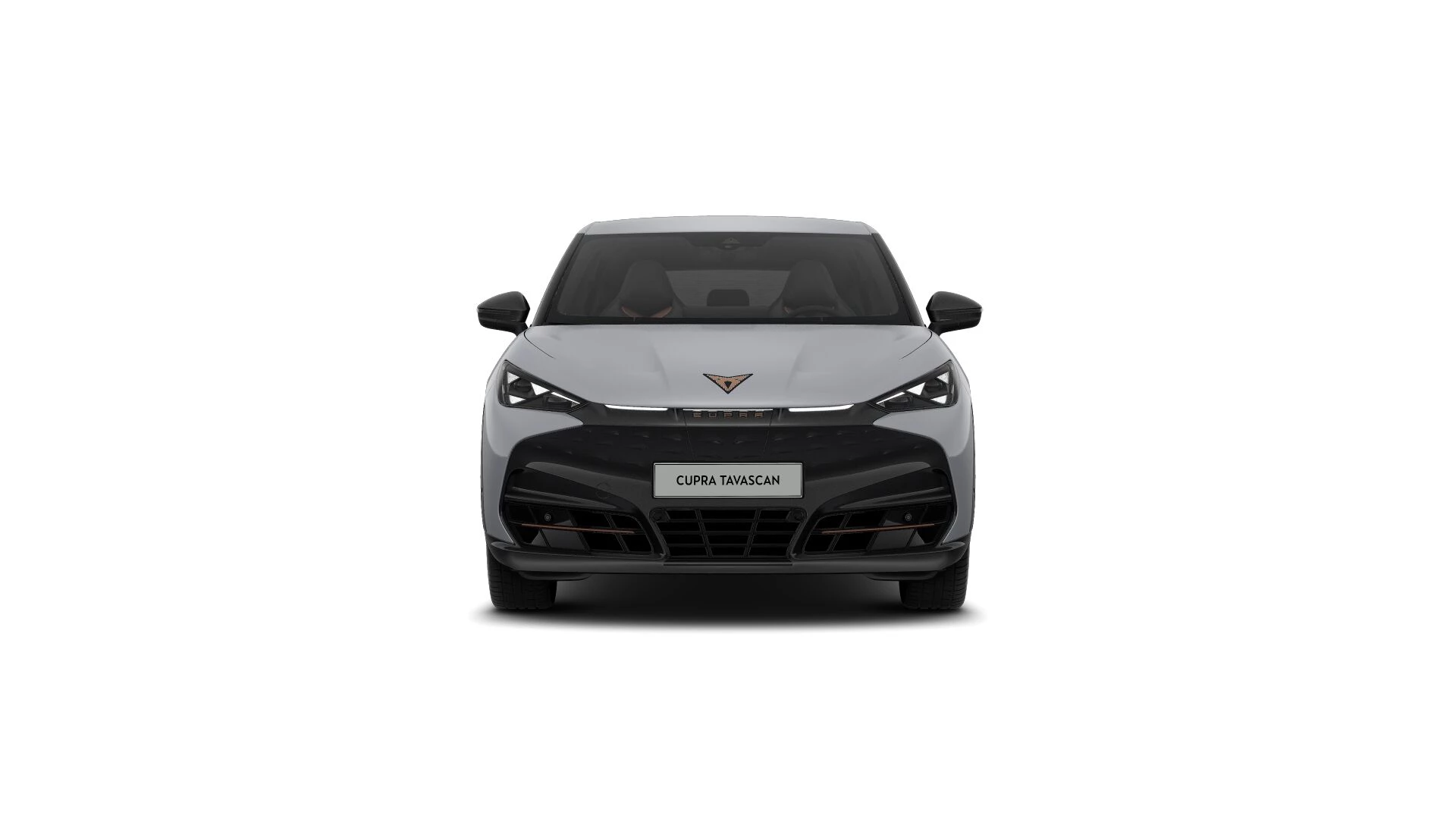 Hoofdafbeelding CUPRA Tavascan