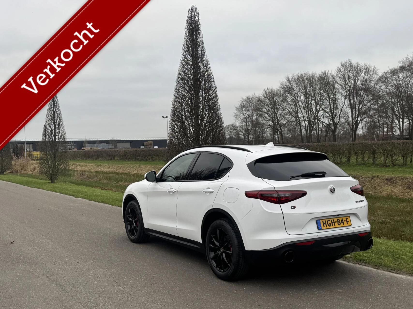 Hoofdafbeelding Alfa Romeo Stelvio