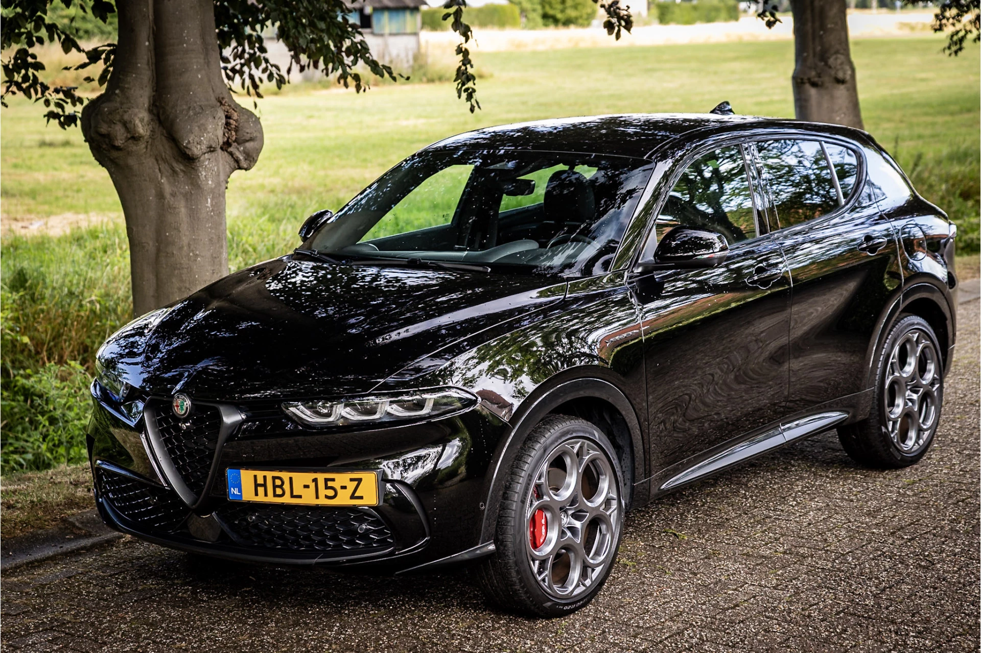 Hoofdafbeelding Alfa Romeo Tonale