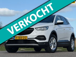 Opel Grandland X 1.2 Turbo Business Executive 130pk Automaat - White Jade - Carplay