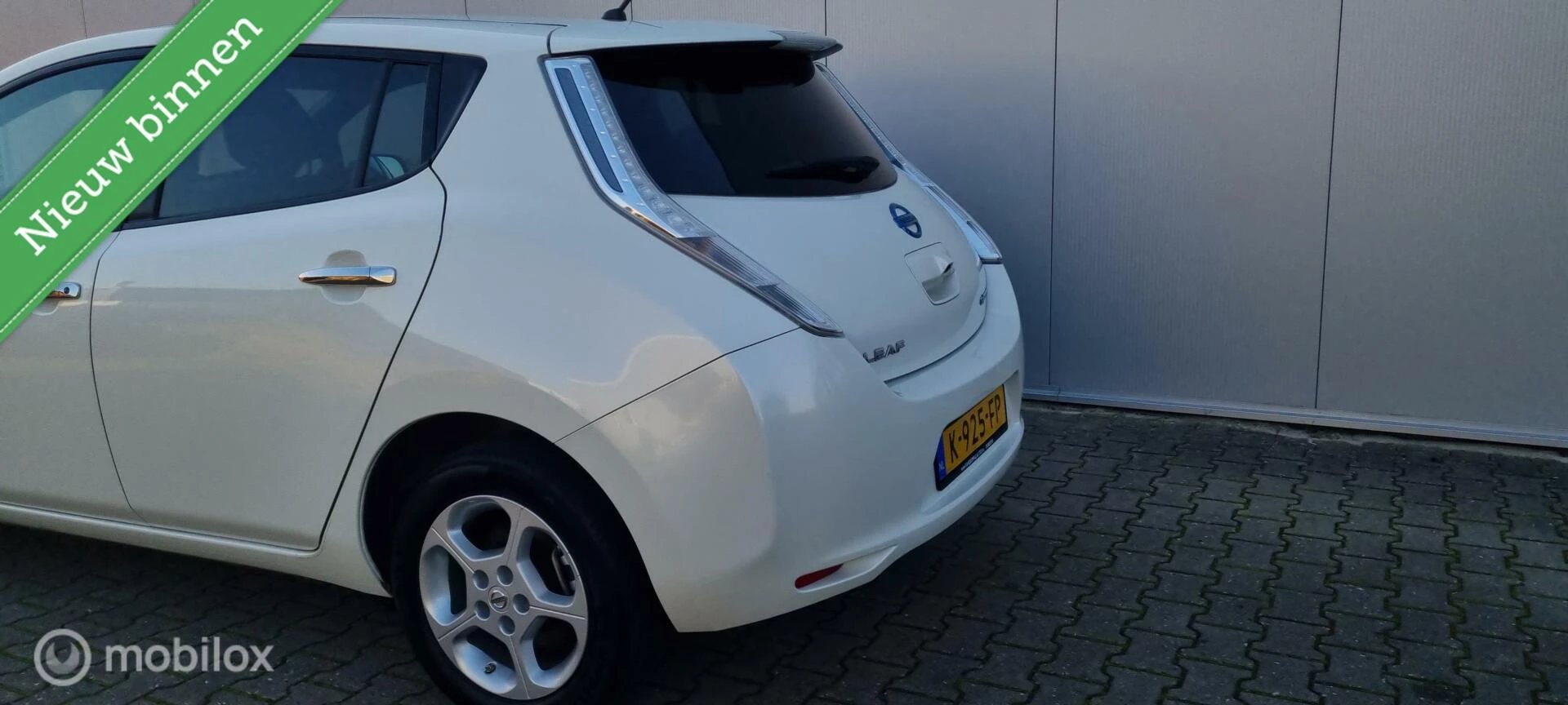 Hoofdafbeelding Nissan Leaf