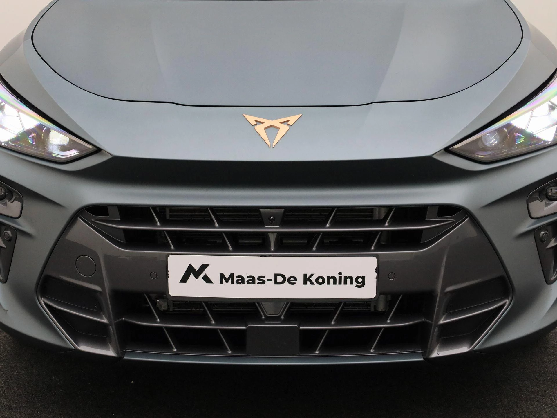 Hoofdafbeelding CUPRA Terramar