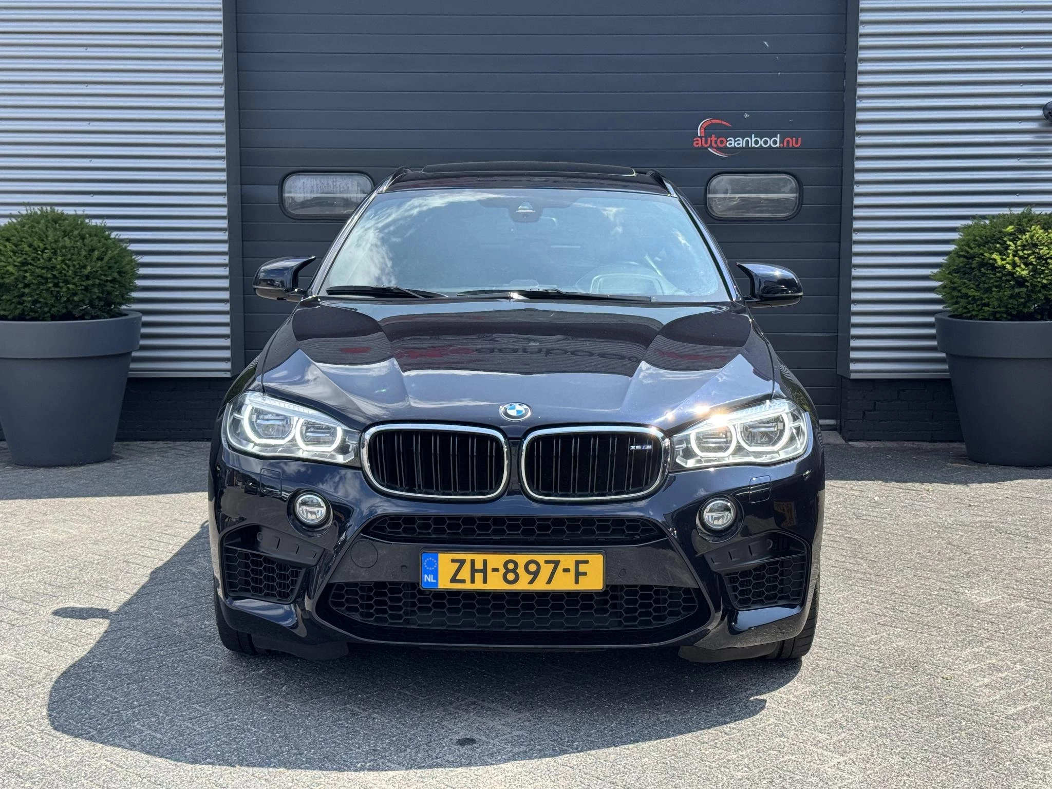 Hoofdafbeelding BMW X6