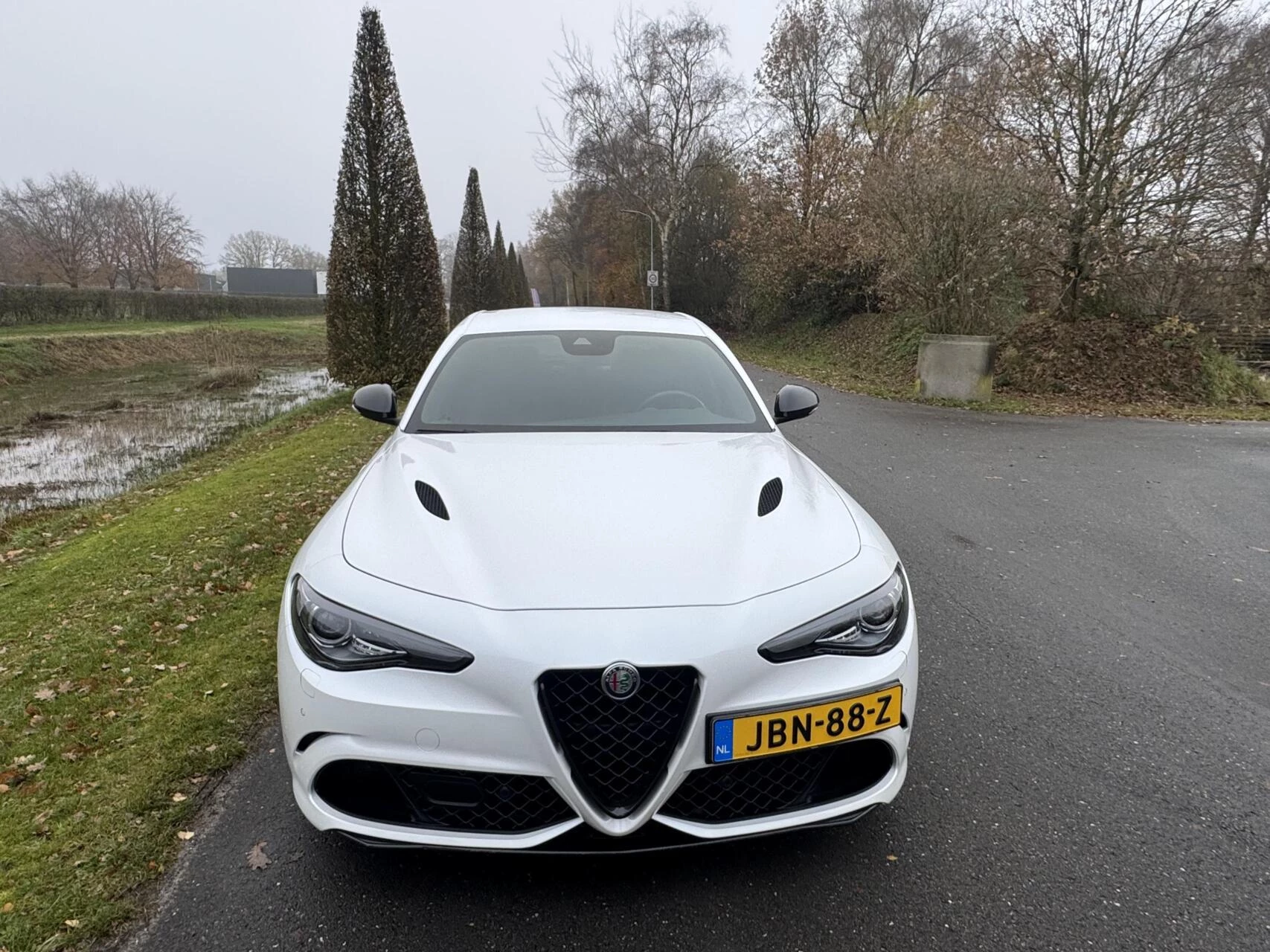 Hoofdafbeelding Alfa Romeo Giulia