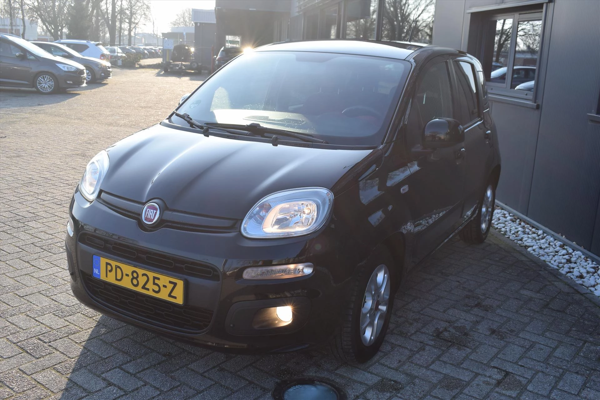 Hoofdafbeelding Fiat Panda