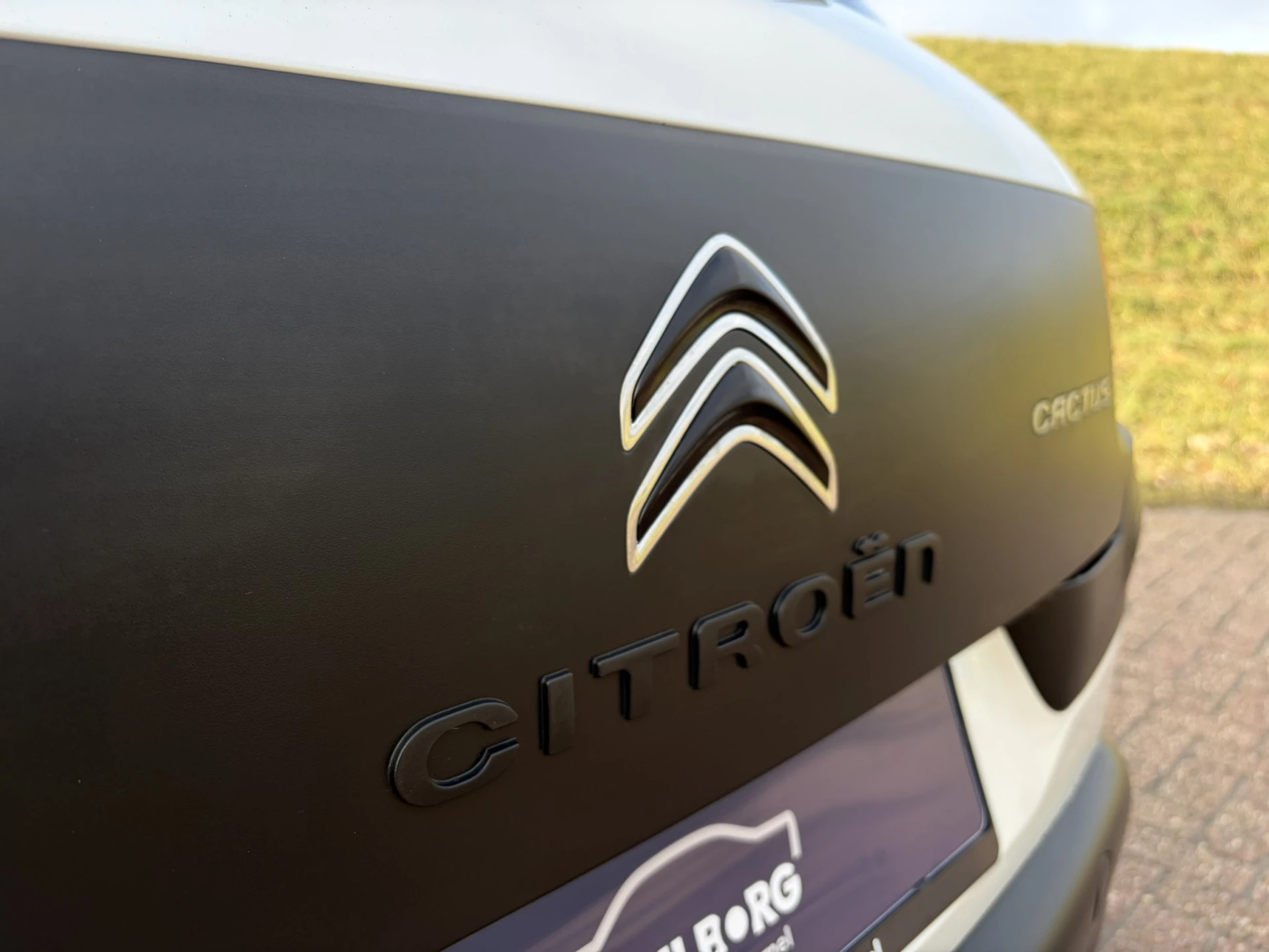 Hoofdafbeelding Citroën C4 Cactus