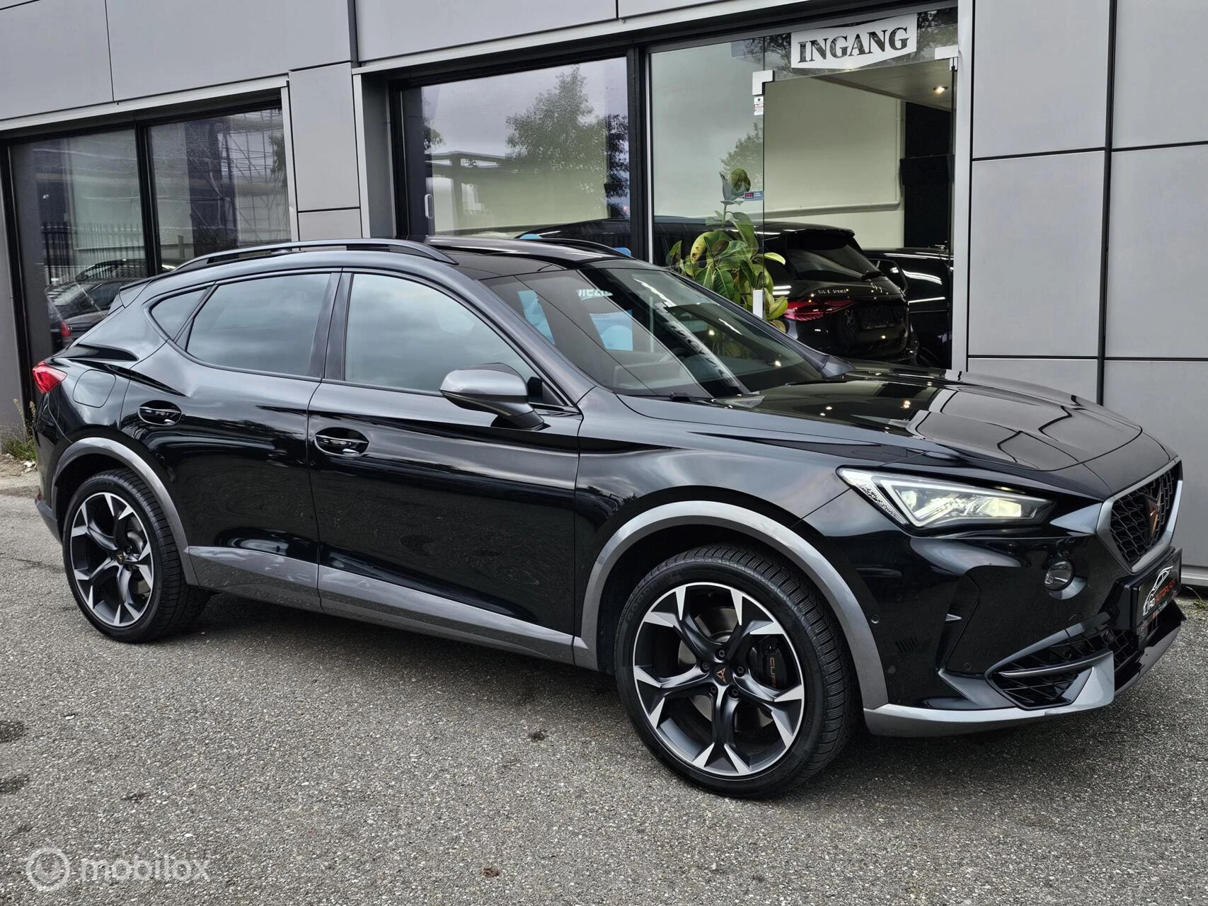 Hoofdafbeelding CUPRA Formentor