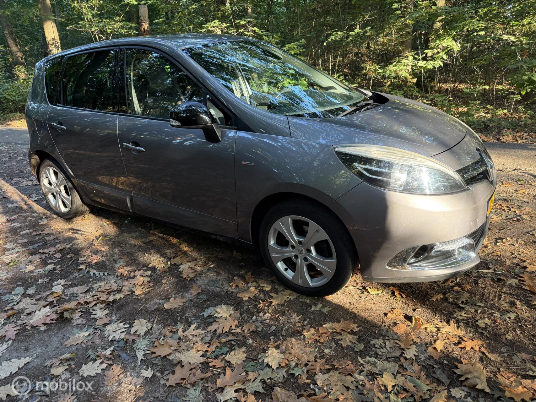 Hoofdafbeelding Renault Scénic