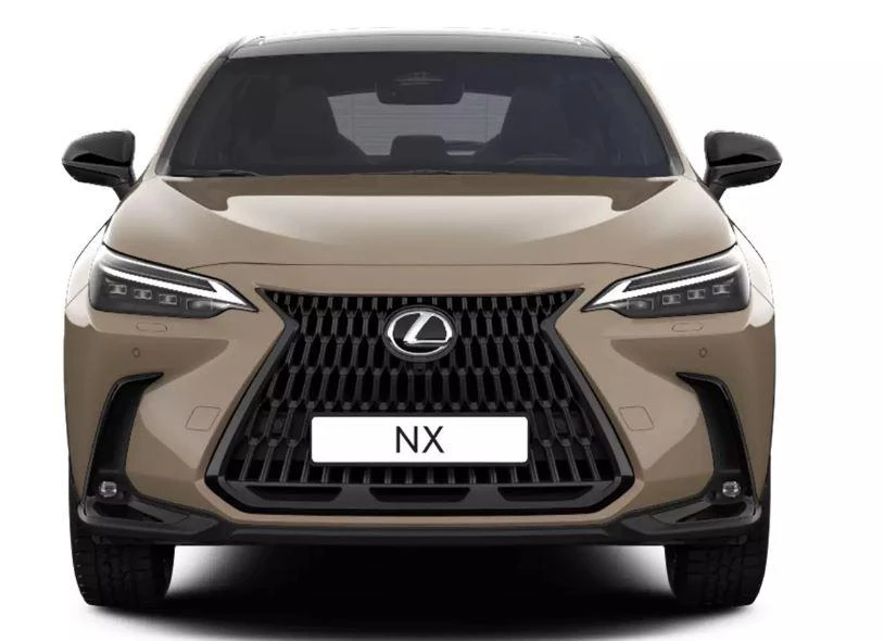 Hoofdafbeelding Lexus NX