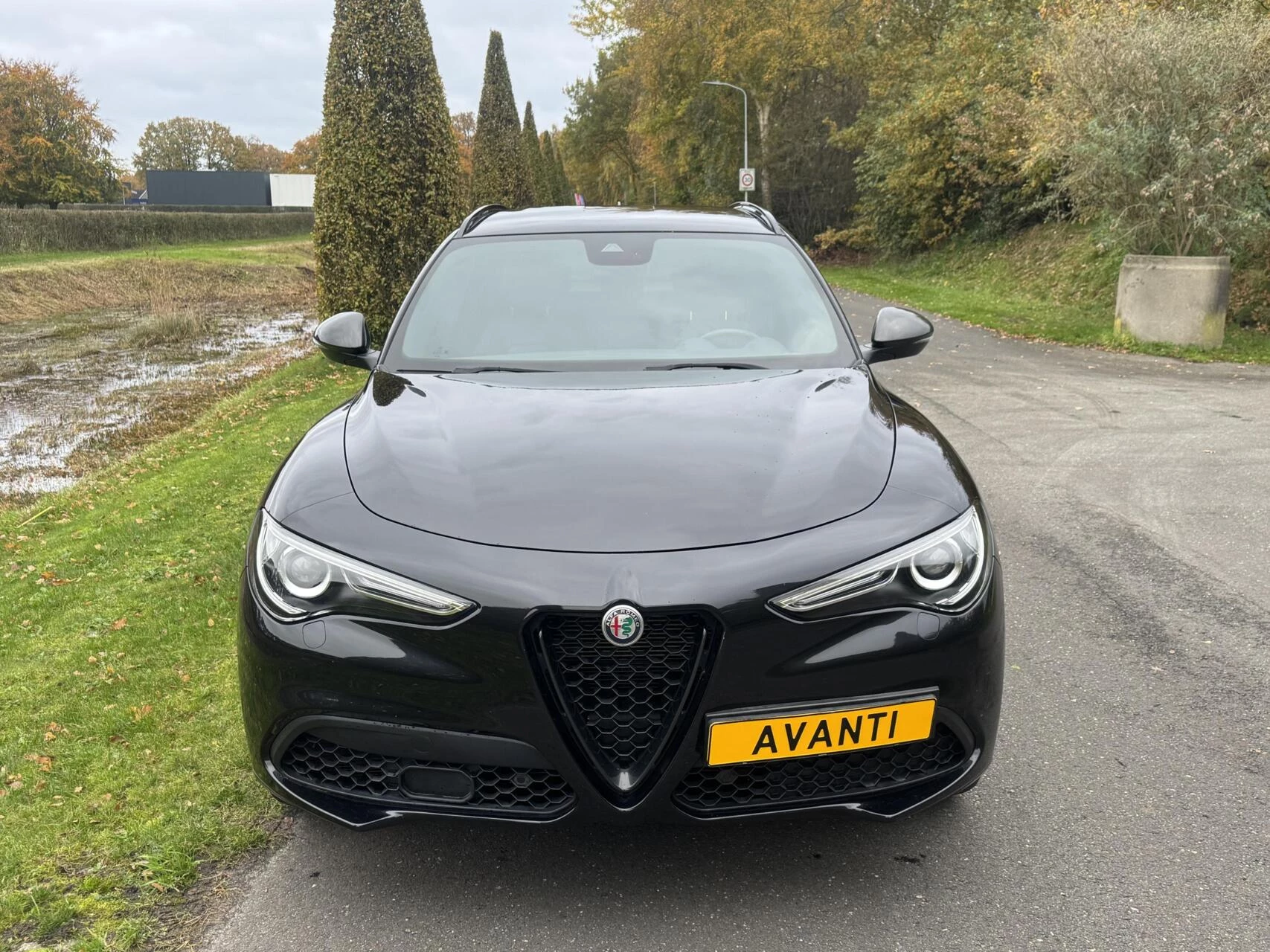 Hoofdafbeelding Alfa Romeo Stelvio