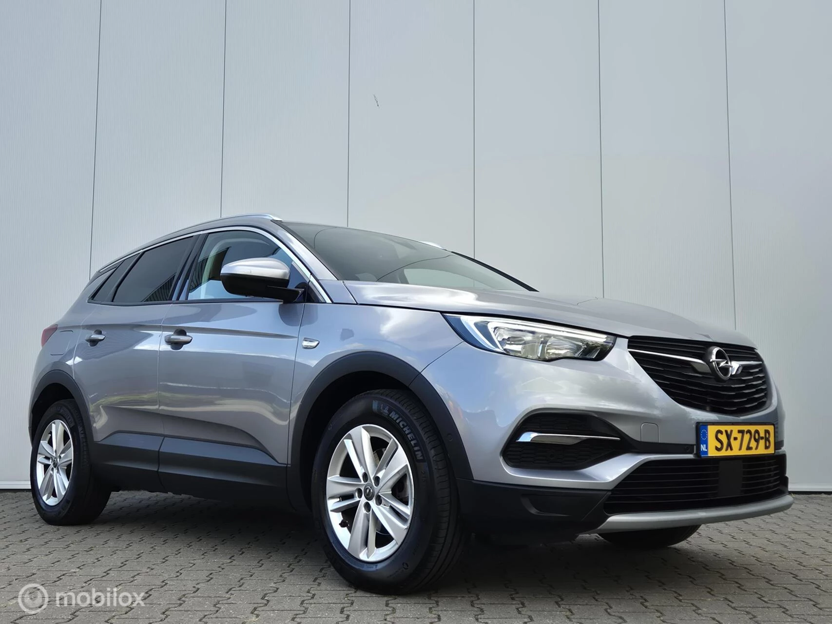 Hoofdafbeelding Opel Grandland X