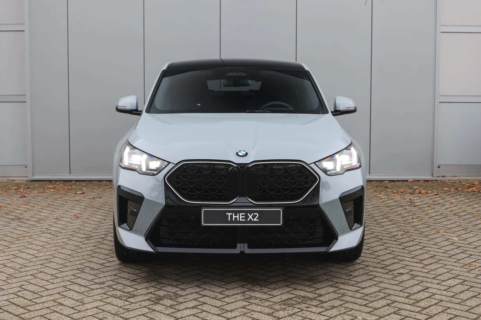 Hoofdafbeelding BMW X2