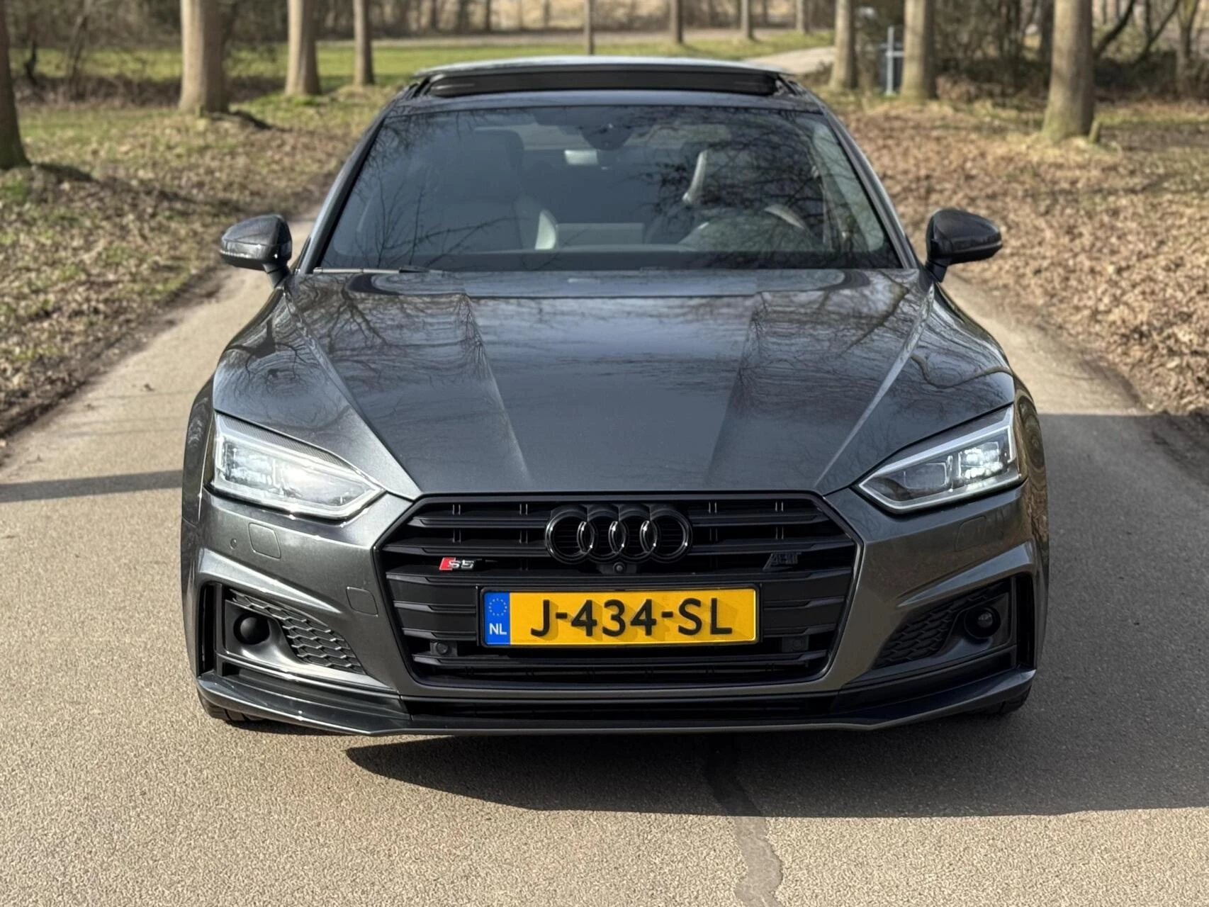 Hoofdafbeelding Audi S5