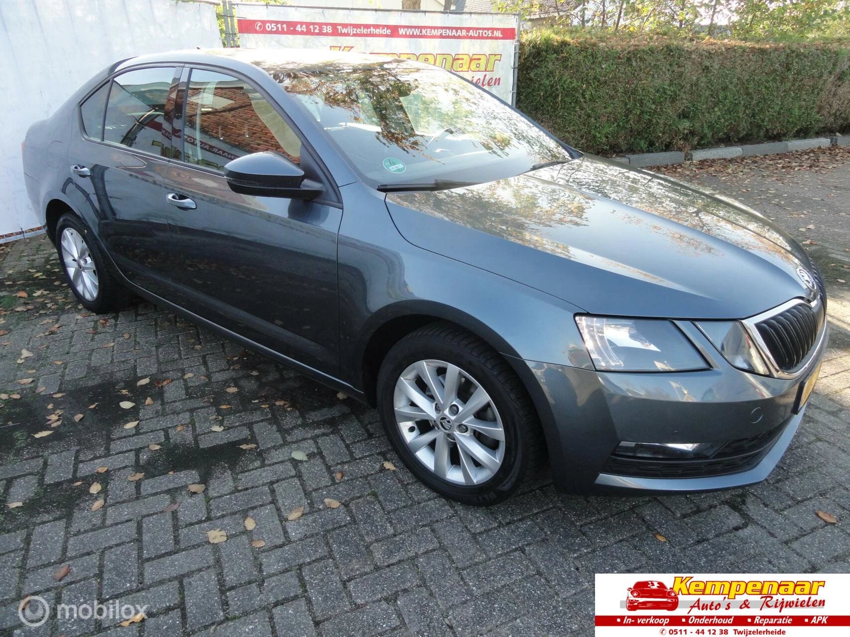 Hoofdafbeelding Škoda Octavia