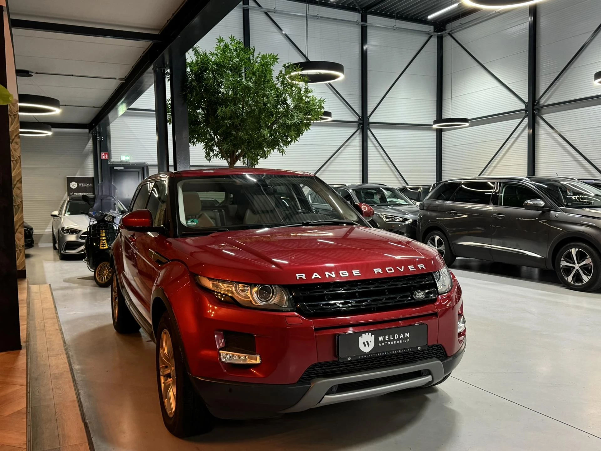 Hoofdafbeelding Land Rover Range Rover Evoque