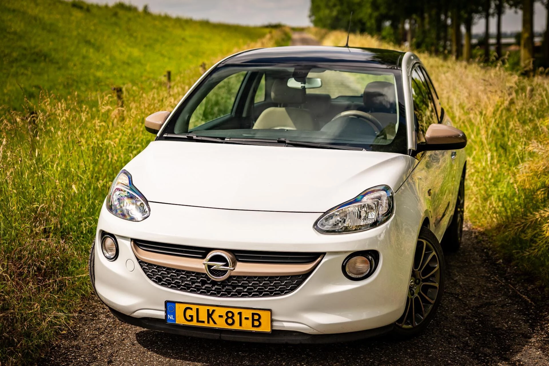 Hoofdafbeelding Opel ADAM