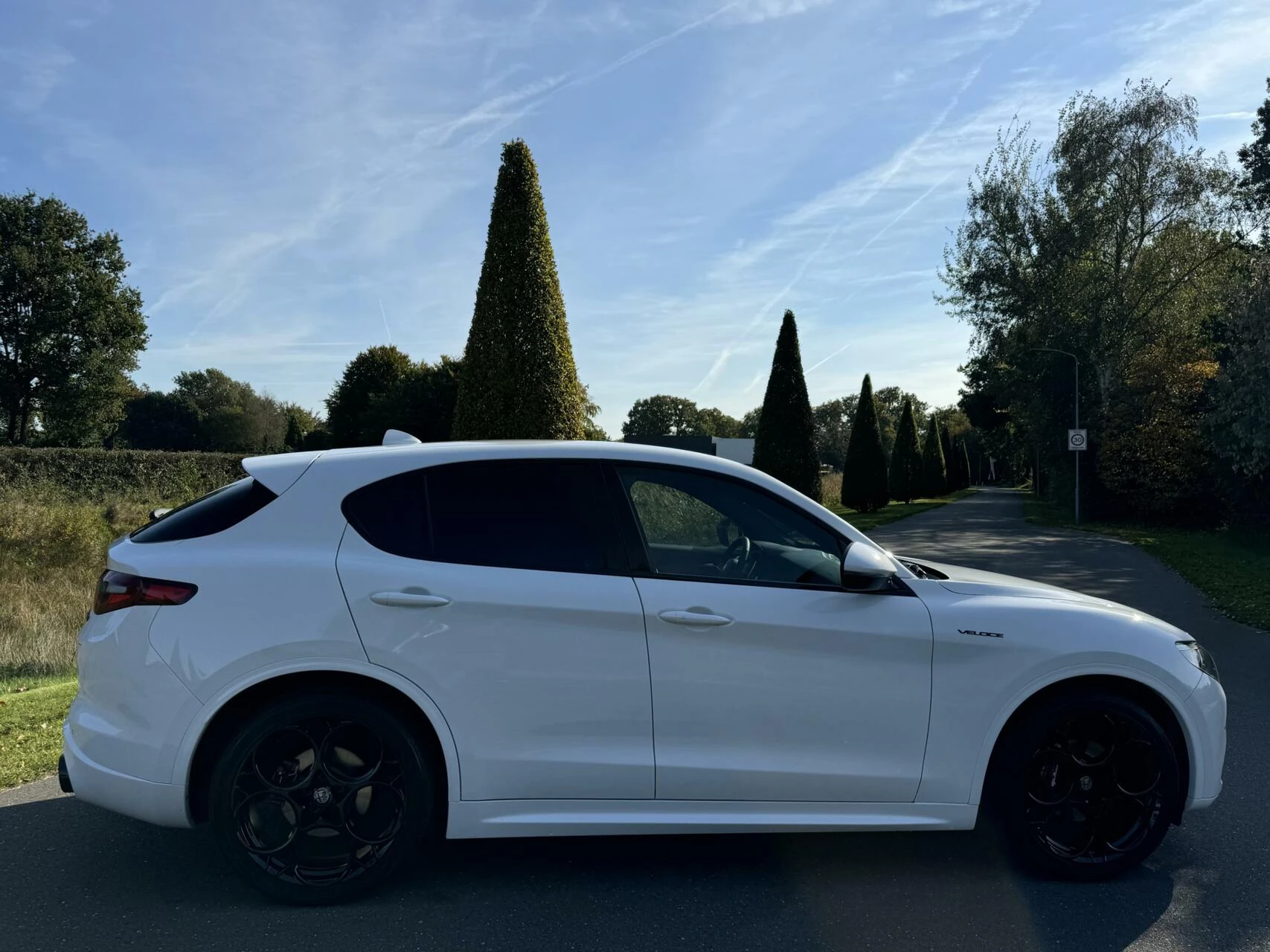 Hoofdafbeelding Alfa Romeo Stelvio