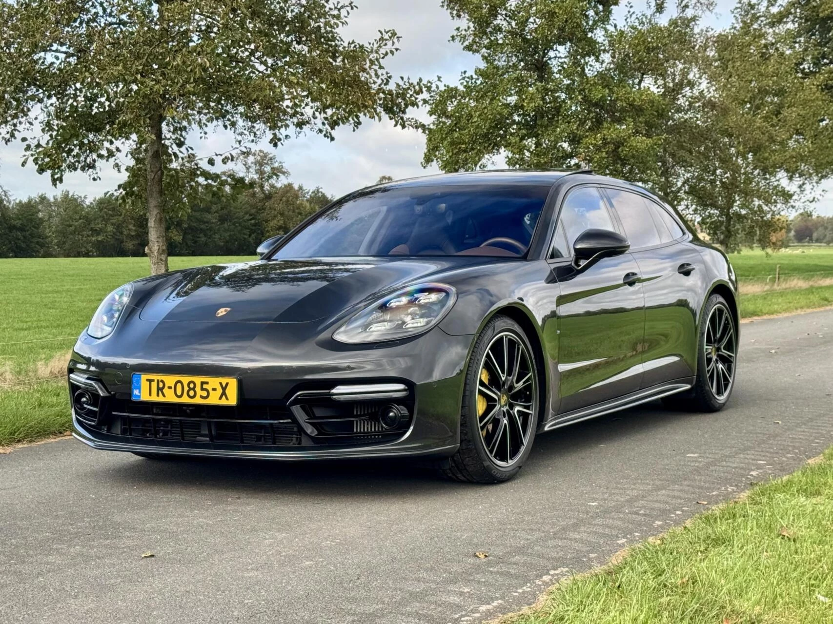 Hoofdafbeelding Porsche Panamera