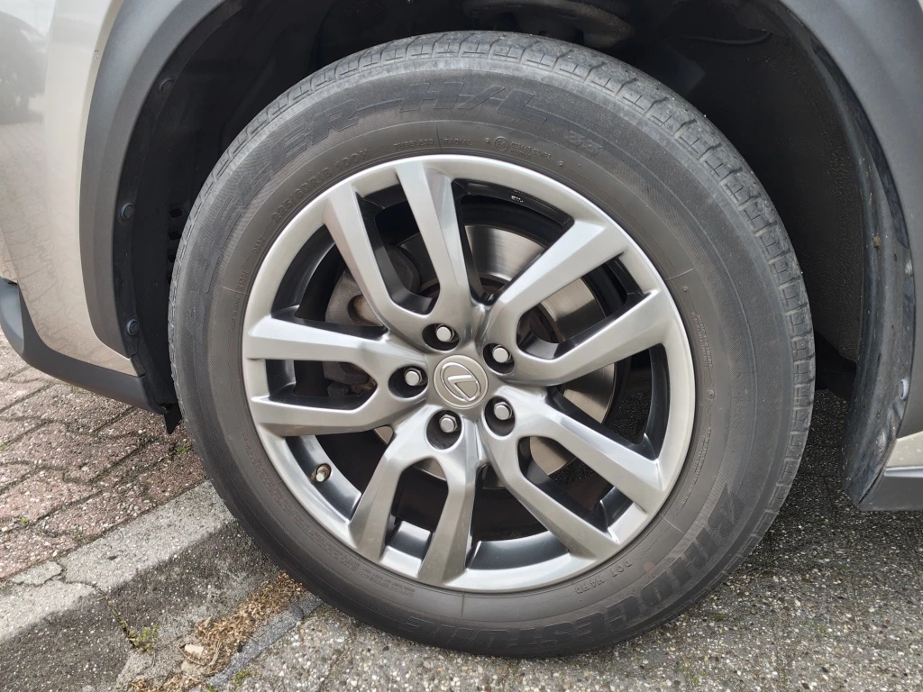 Hoofdafbeelding Lexus NX