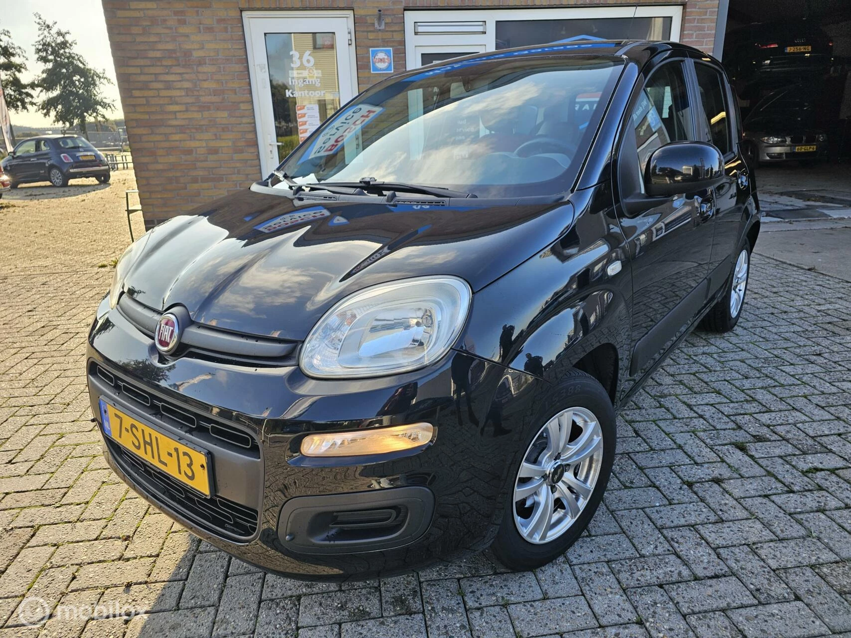 Hoofdafbeelding Fiat Panda